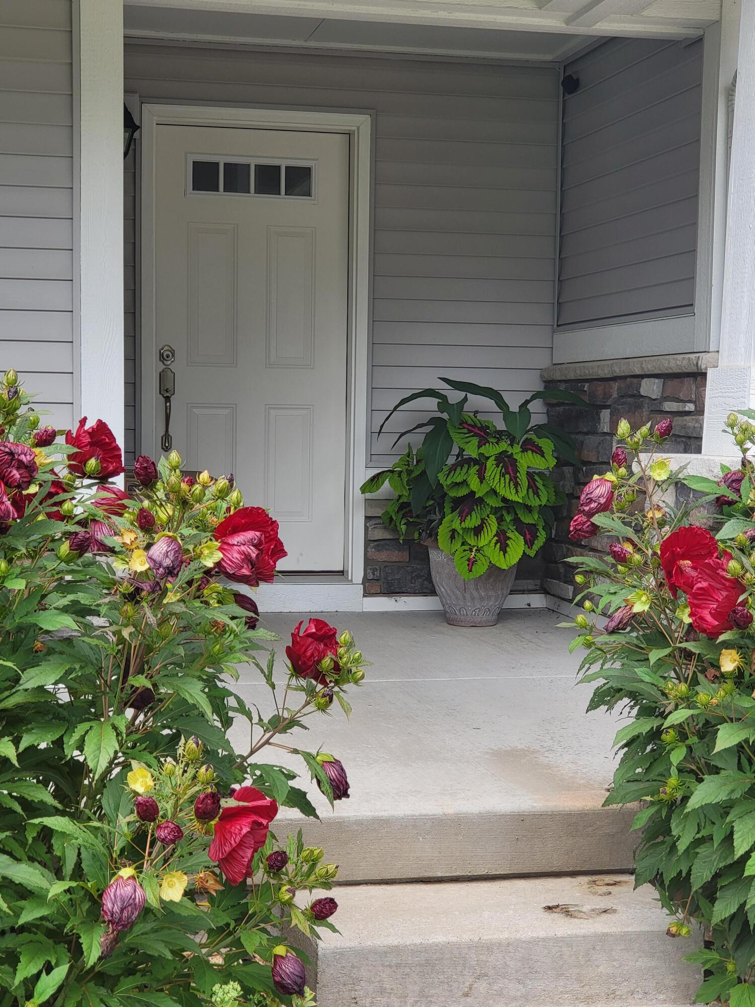 14415 Manor Road Grand Haven MI 49417