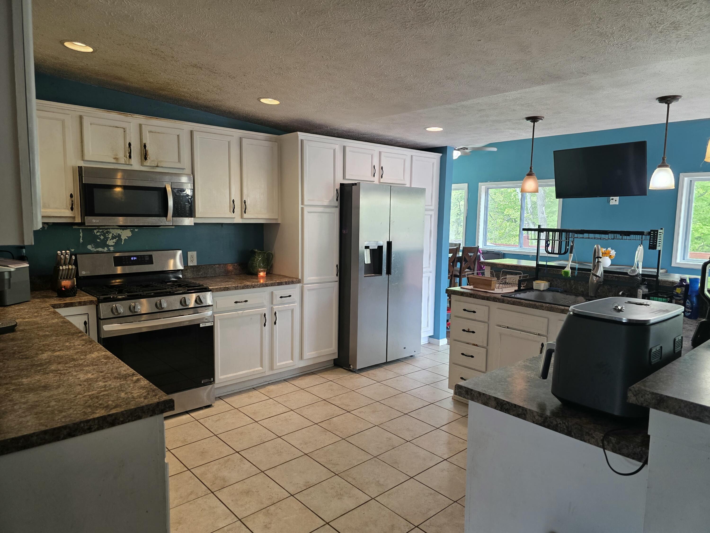 1125 Kristie Lane Ludington MI 49431