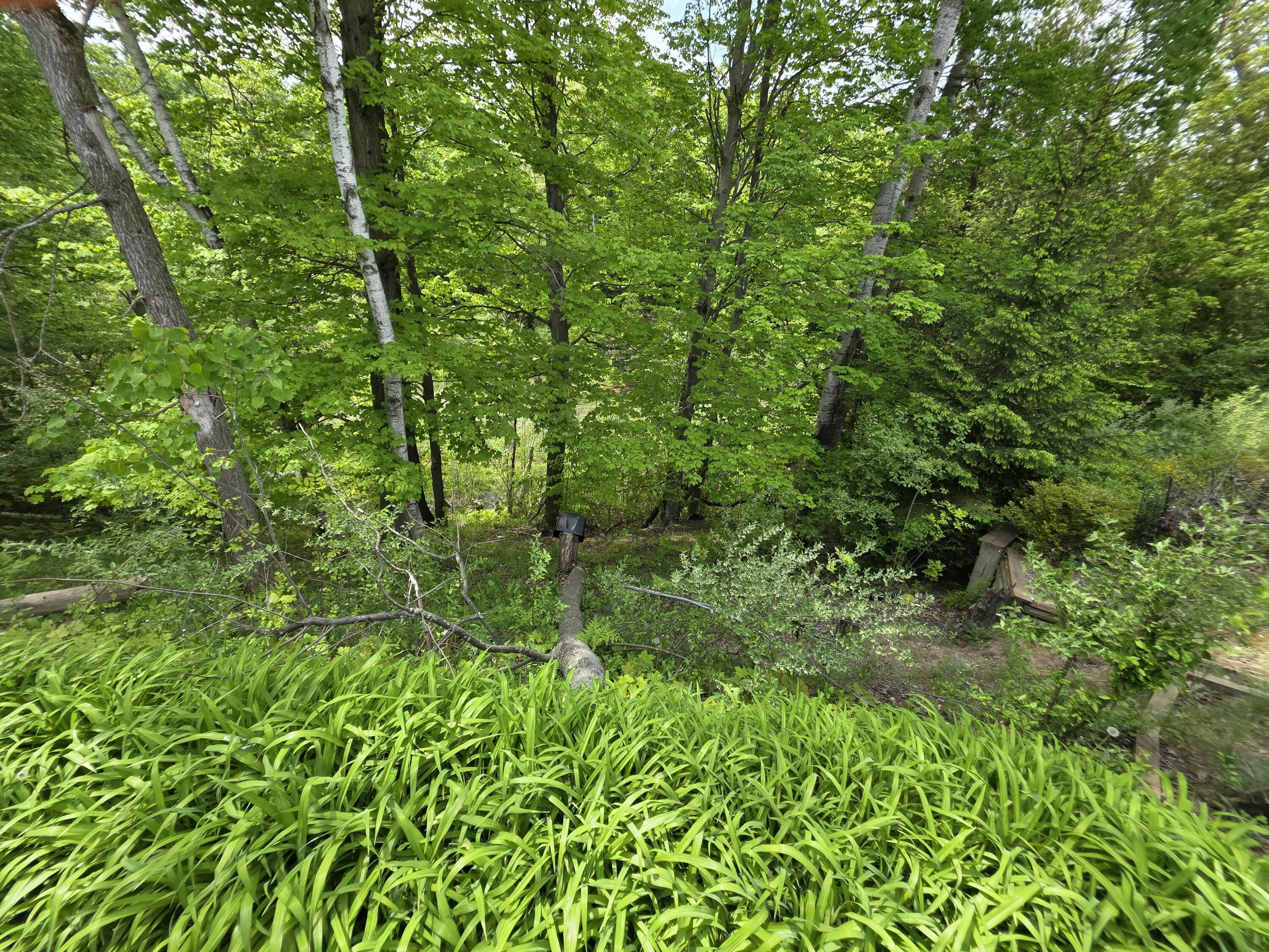 1125 Kristie Lane Ludington MI 49431