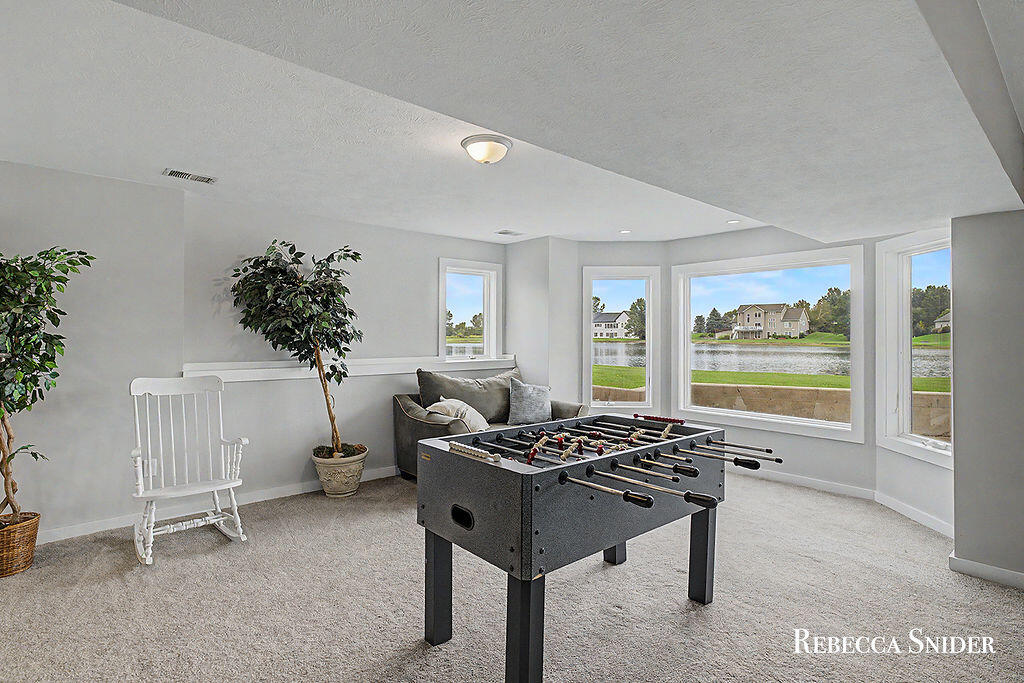 10210 Bingham Street Zeeland MI 49464