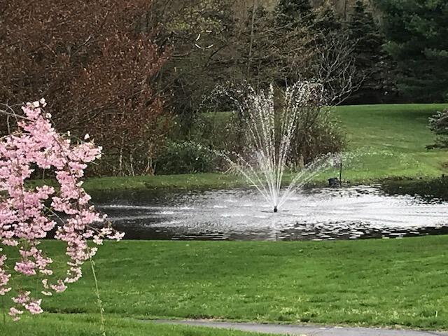 1532 34th Street Allegan MI 49010