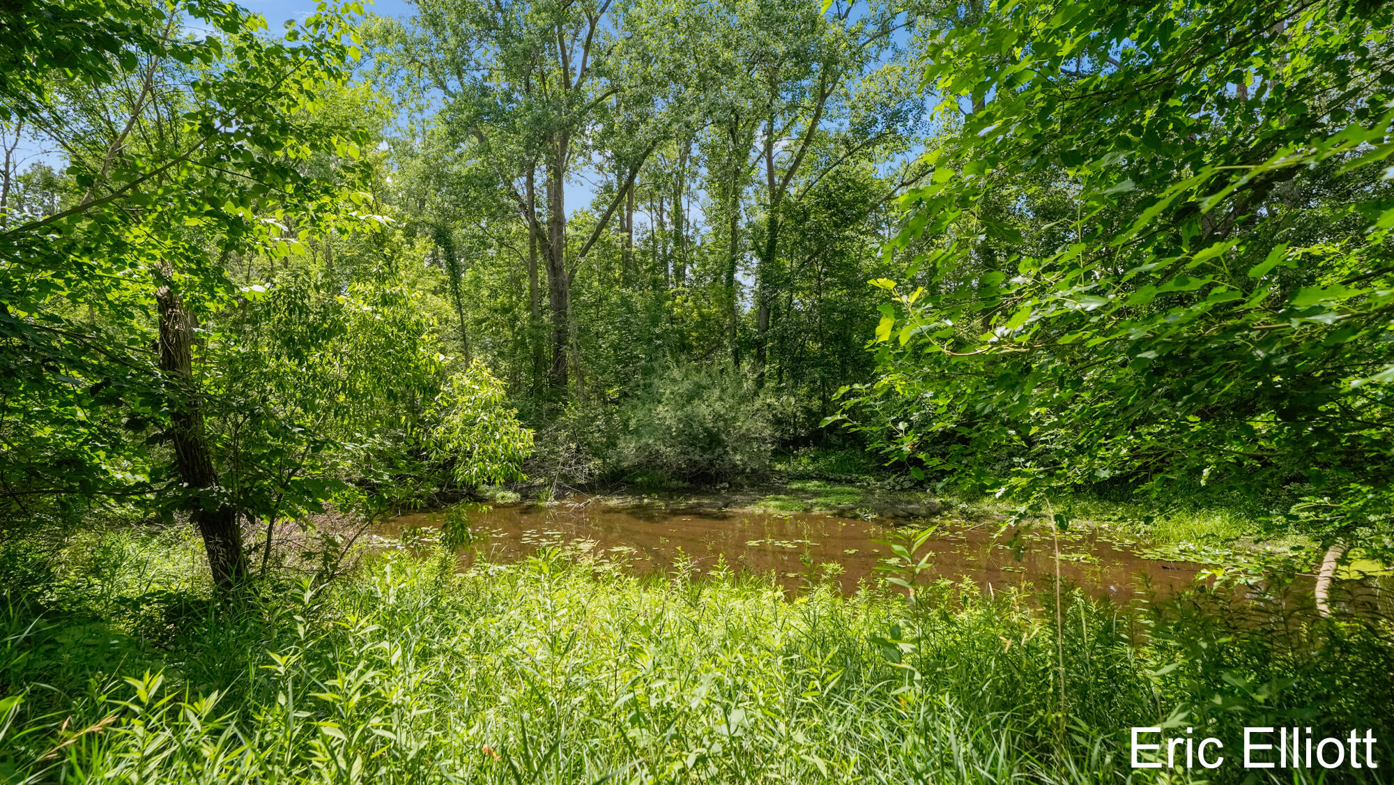 2219 NE Sawmill Drive NE Rockford MI 49341