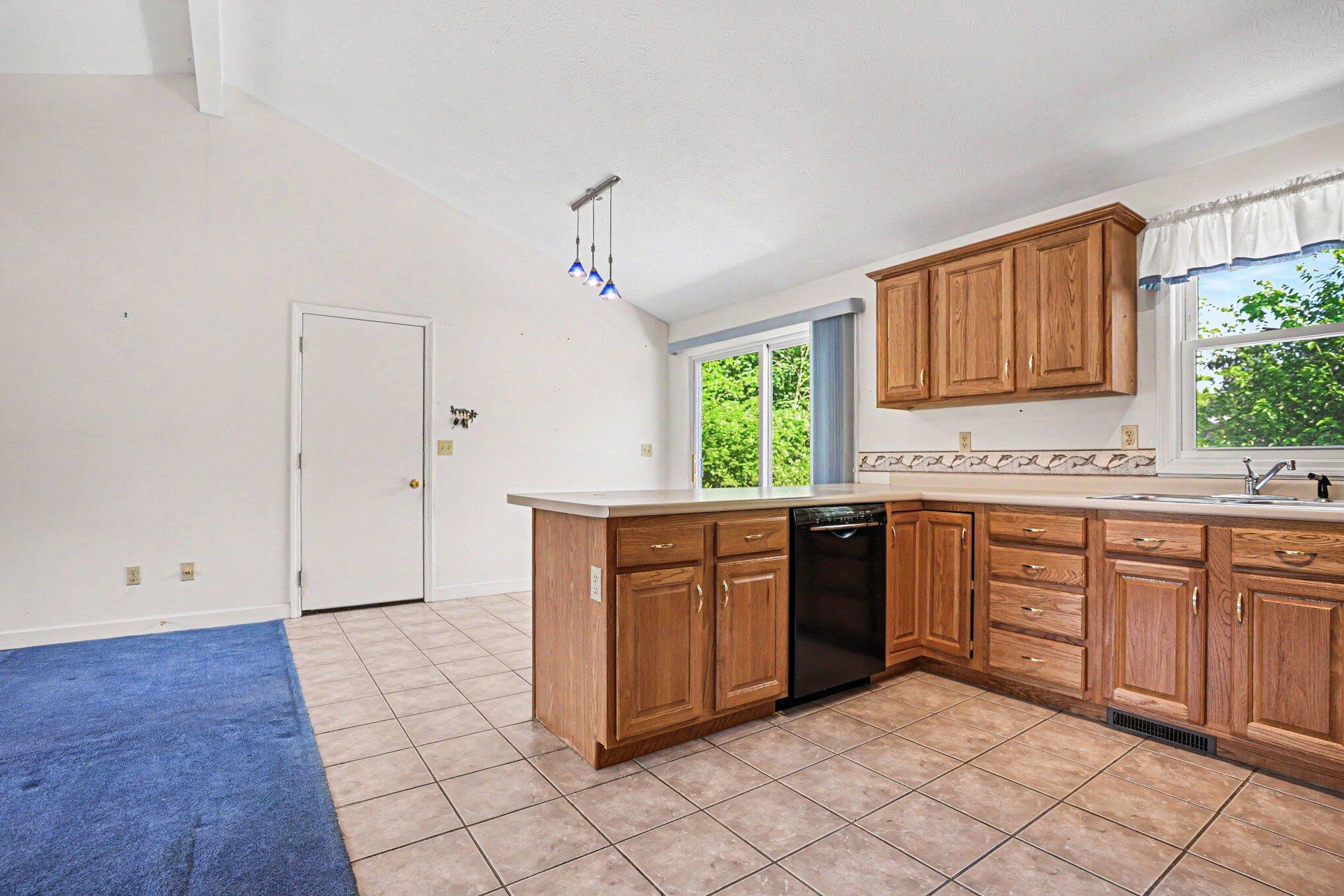 317 Brookfield Street Niles MI 49120