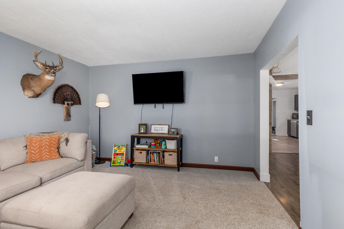349 E Main Street Hopkins MI 49328
