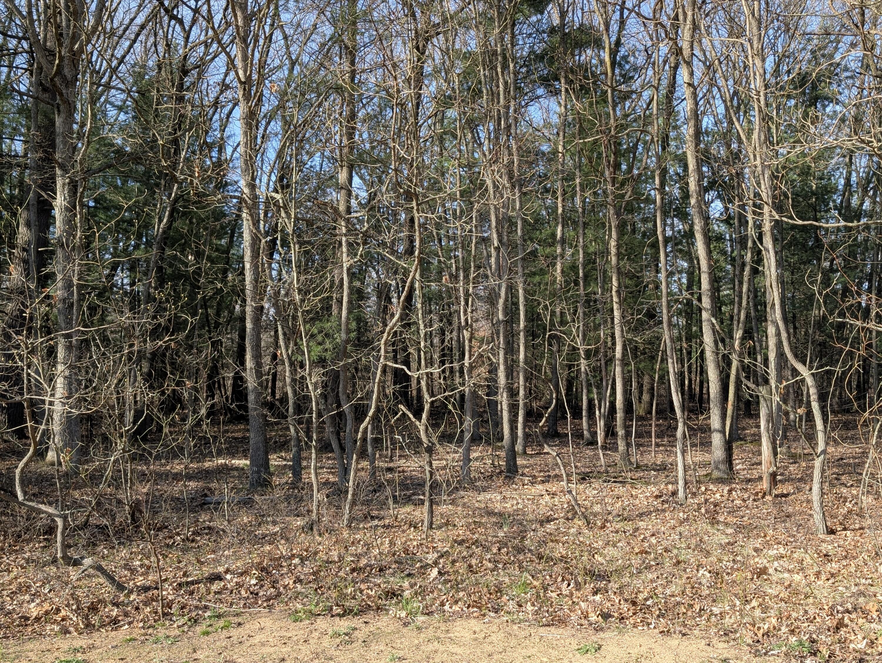 2032 S Mill Iron Road Muskegon MI 49442