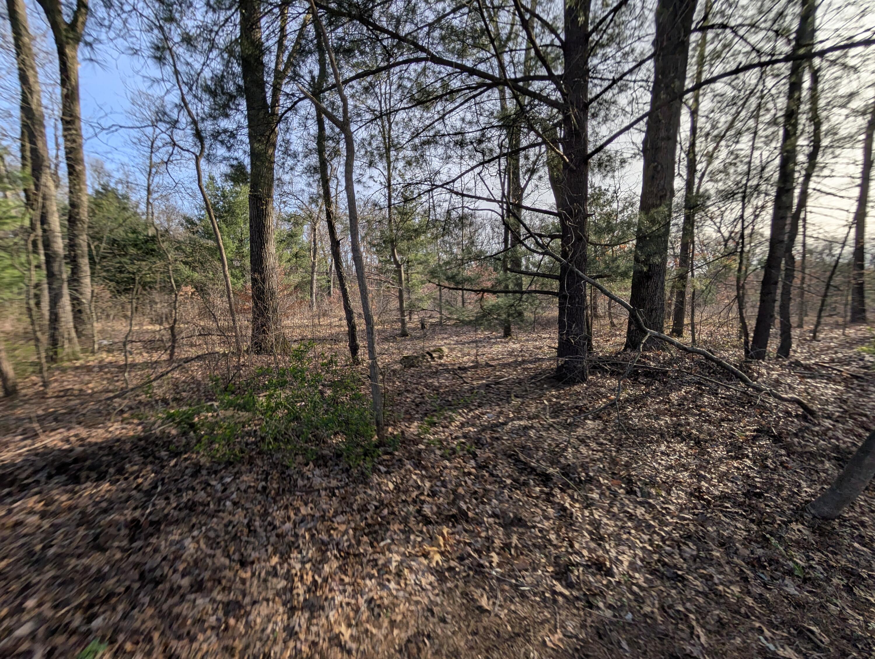 2032 S Mill Iron Road Muskegon MI 49442