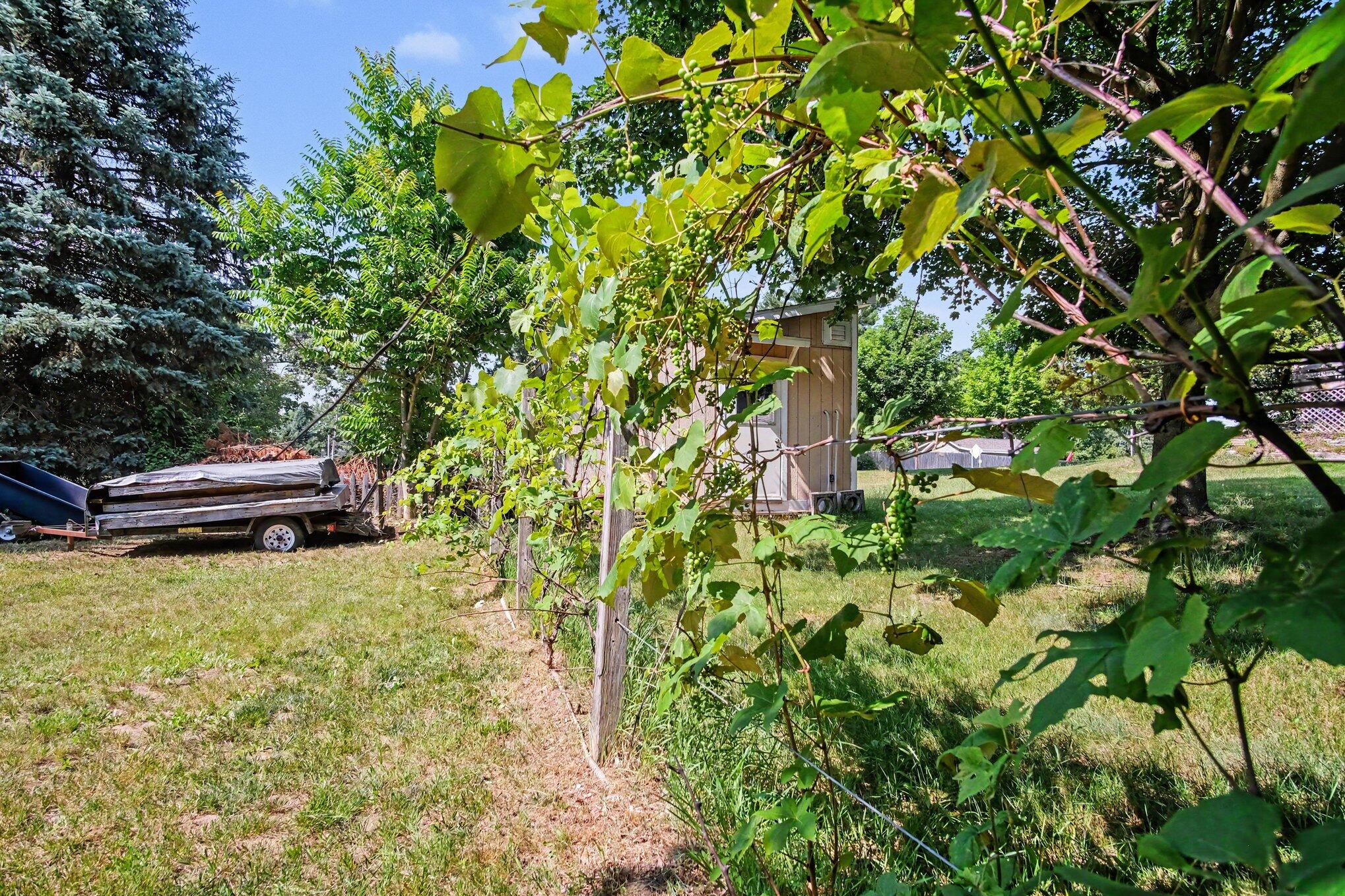 6676 Naontah Trail NE Rockford MI 49341