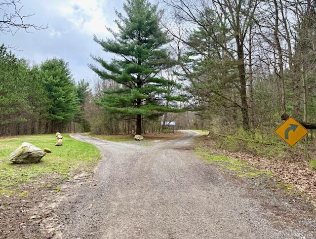 53815 Glenwood Road Dowagiac MI 49047
