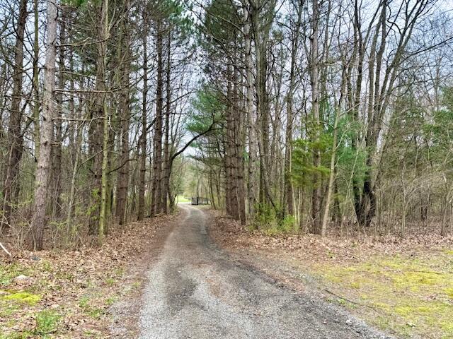 53815 Glenwood Road Dowagiac MI 49047