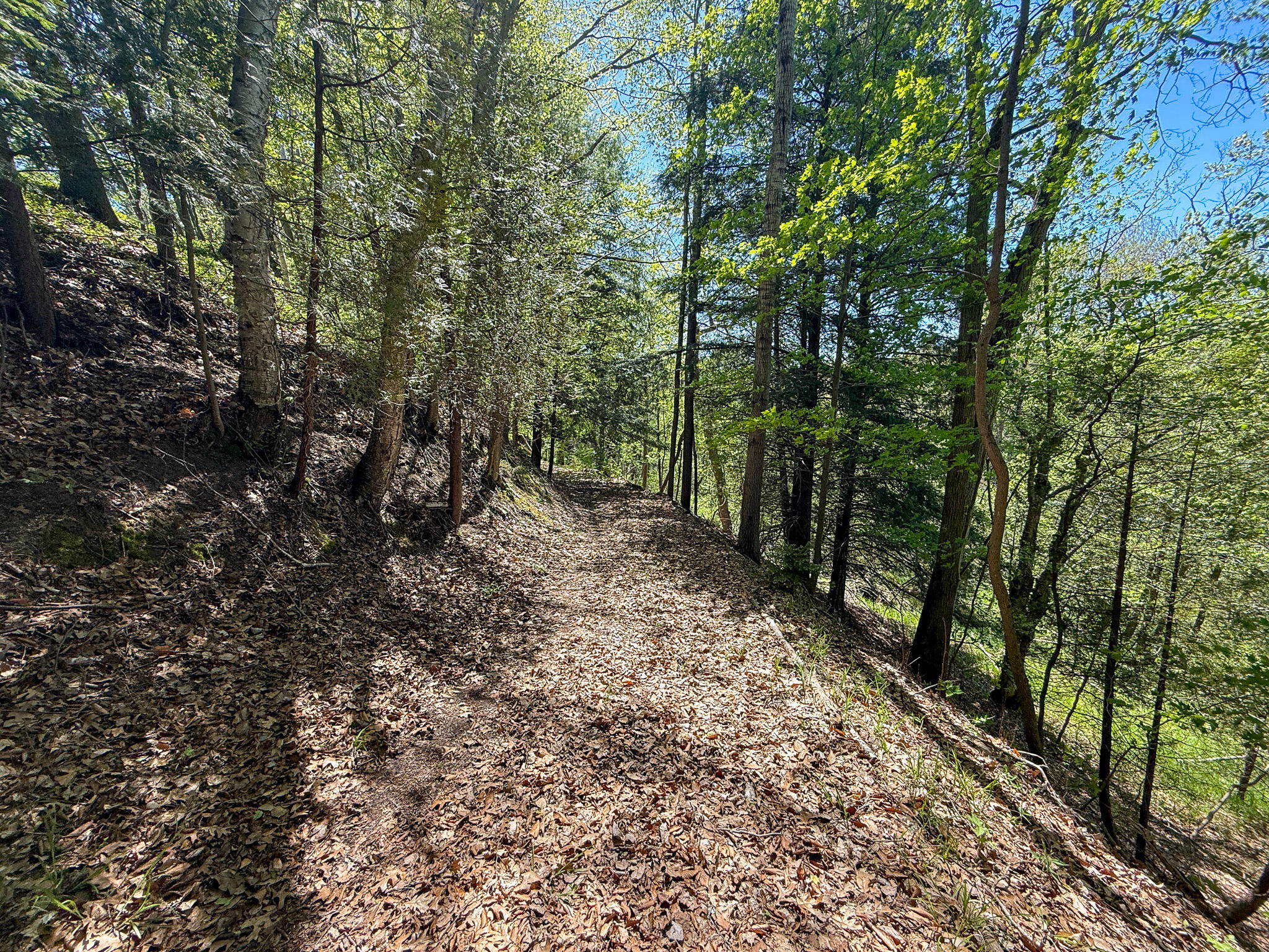 1583 N Dennis Road Ludington MI 49431