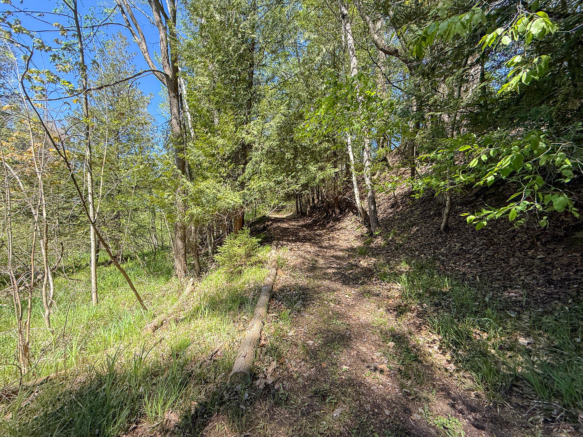 1583 N Dennis Road Ludington MI 49431