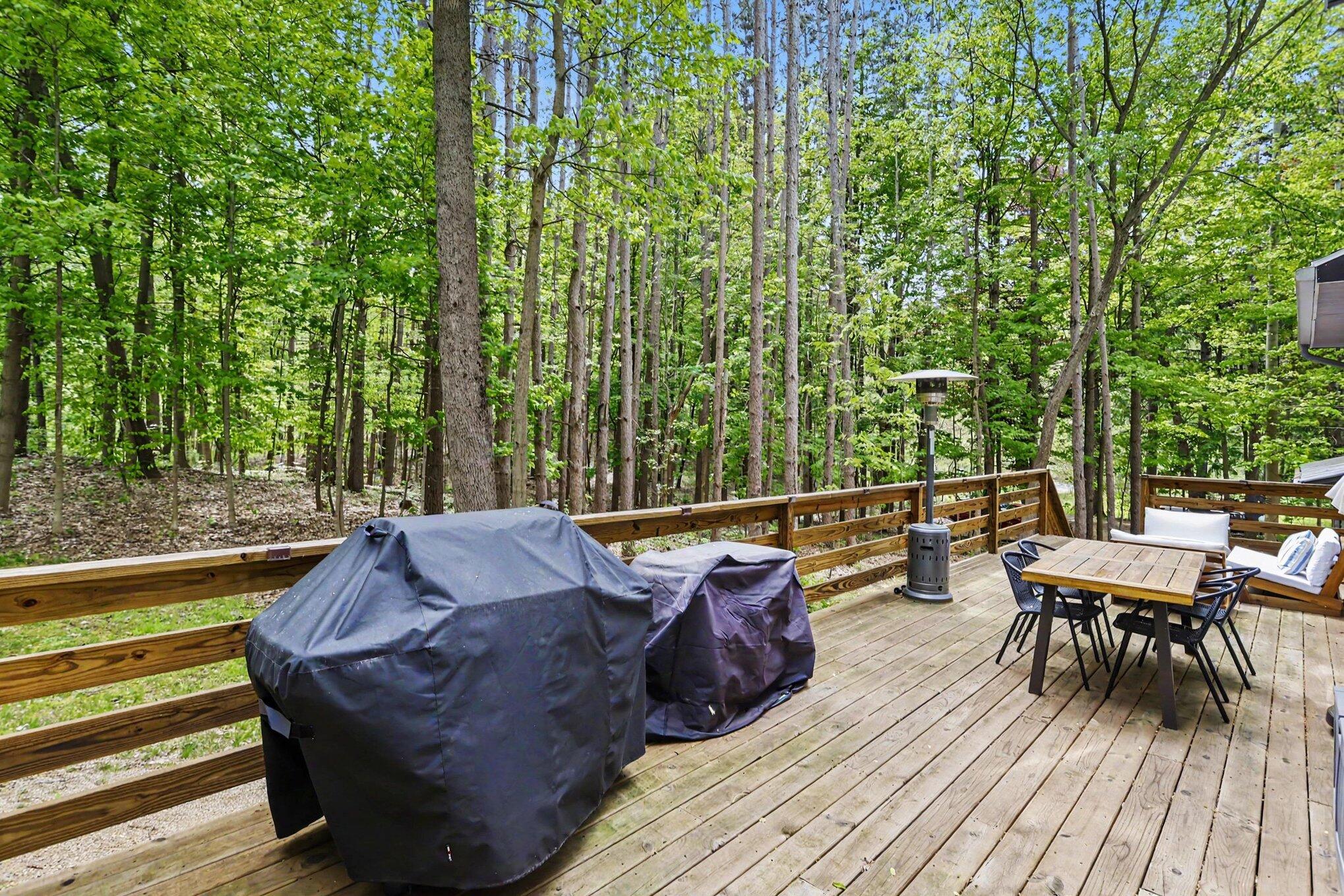 10953 Red Bud Trail Berrien Springs MI 49103