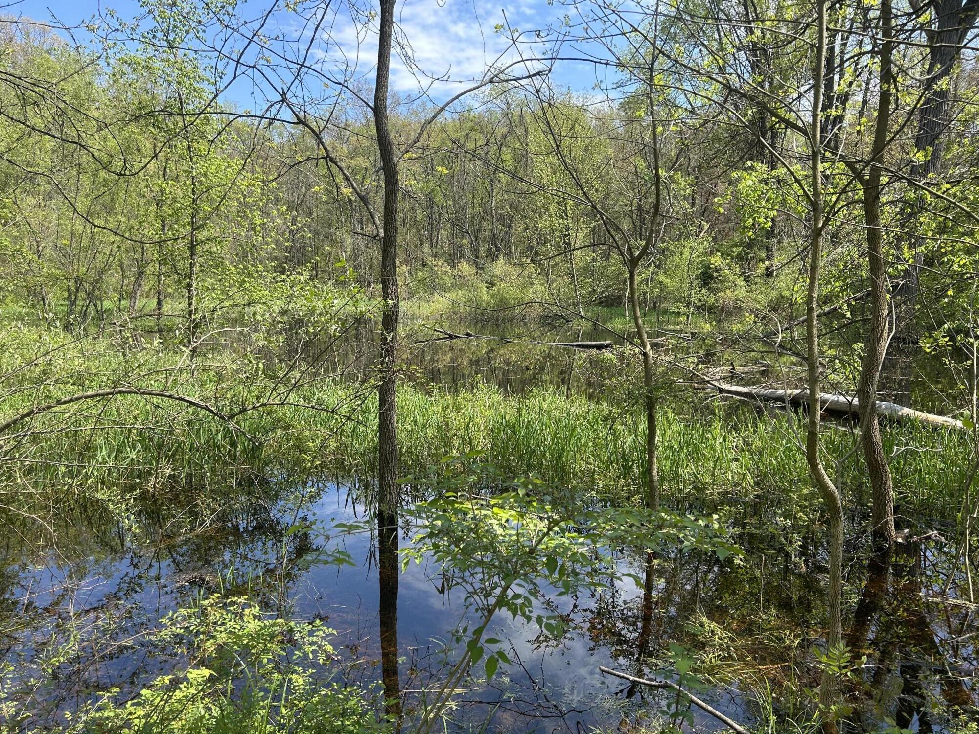 10953 Red Bud Trail Berrien Springs MI 49103