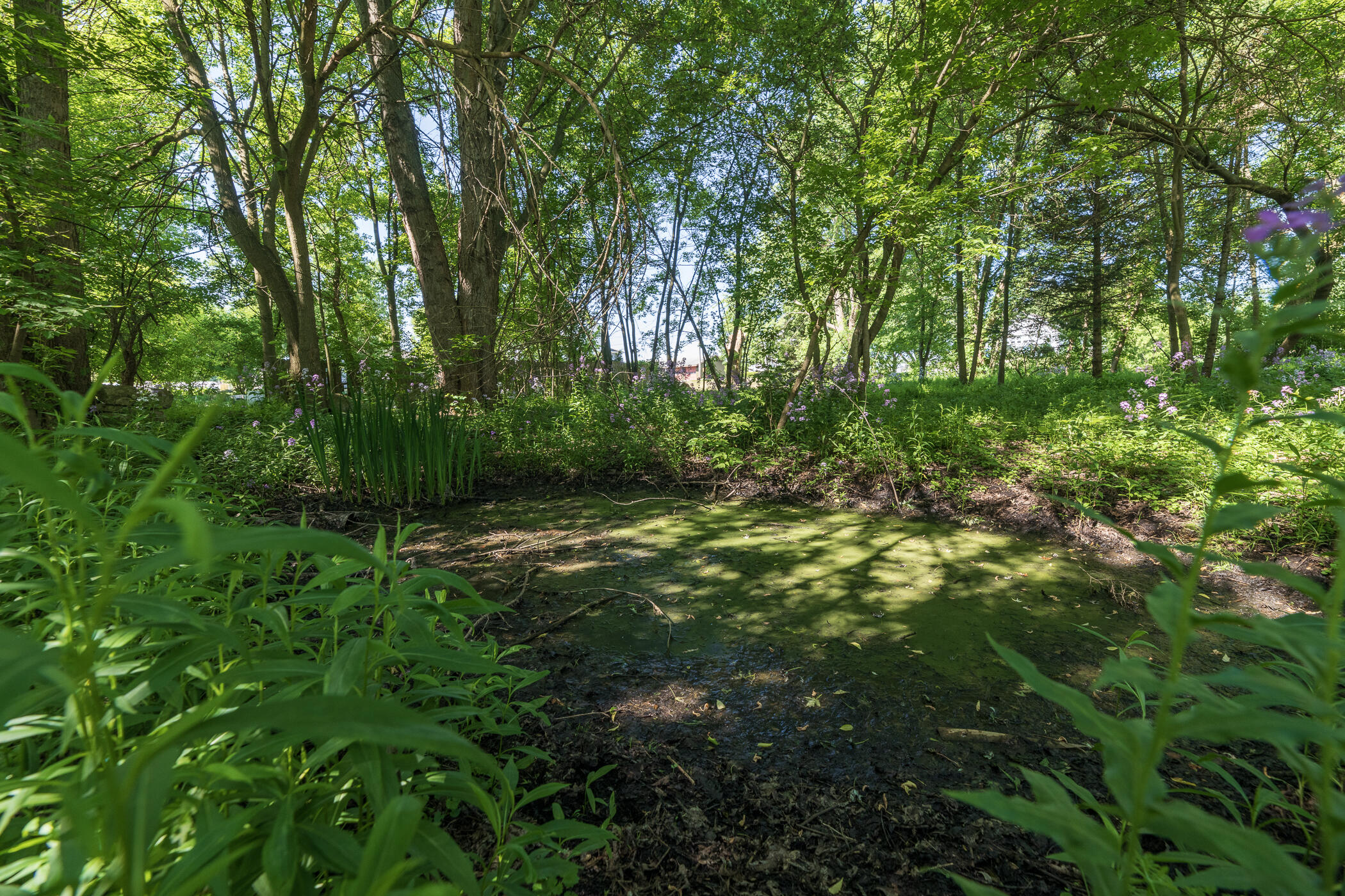 3628 N Westnedge Avenue Kalamazoo MI 49004