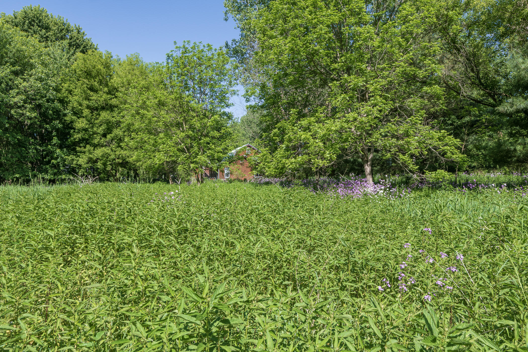 3628 N Westnedge Avenue Kalamazoo MI 49004