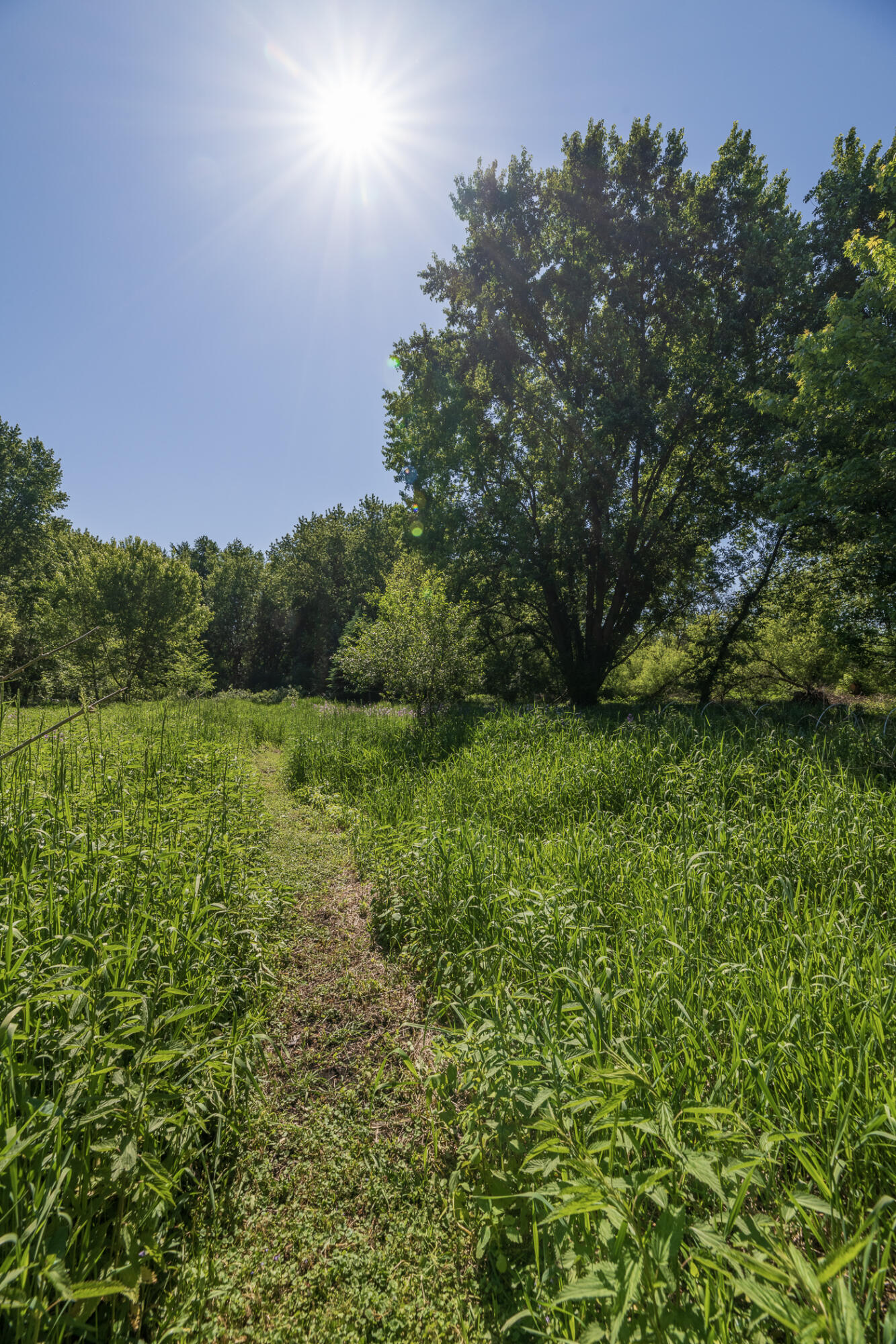 3628 N Westnedge Avenue Kalamazoo MI 49004