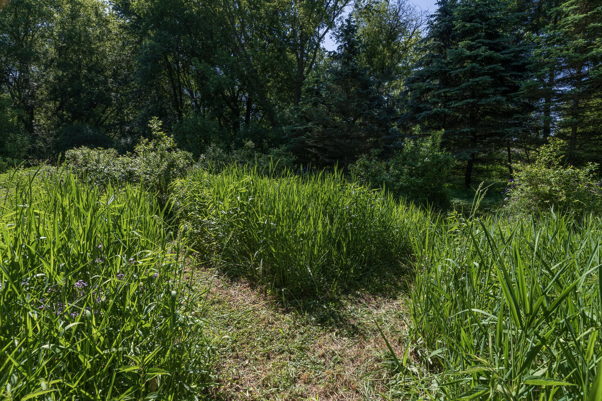 3628 N Westnedge Avenue Kalamazoo MI 49004