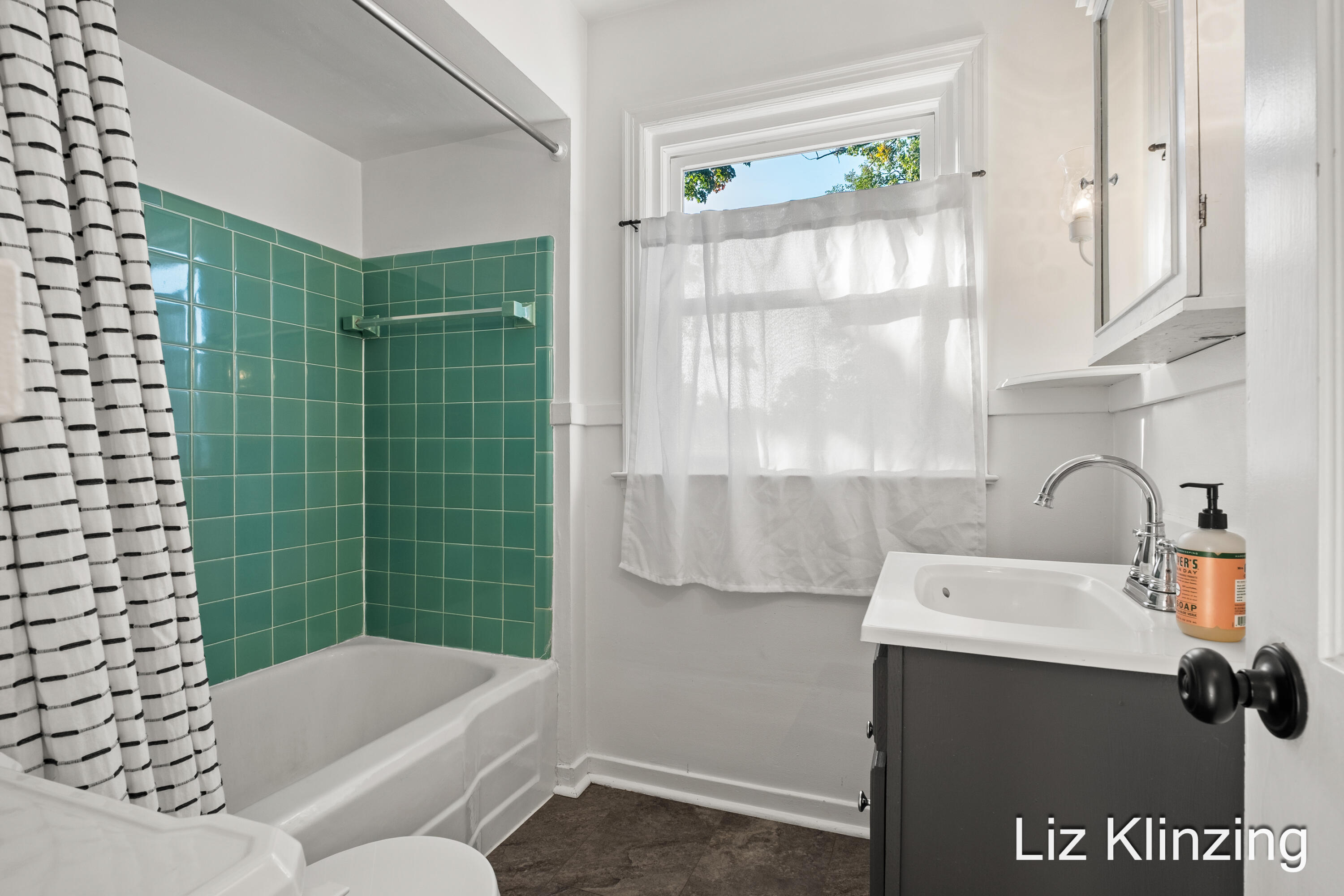 1138 Alger Street SE Grand Rapids MI 49507