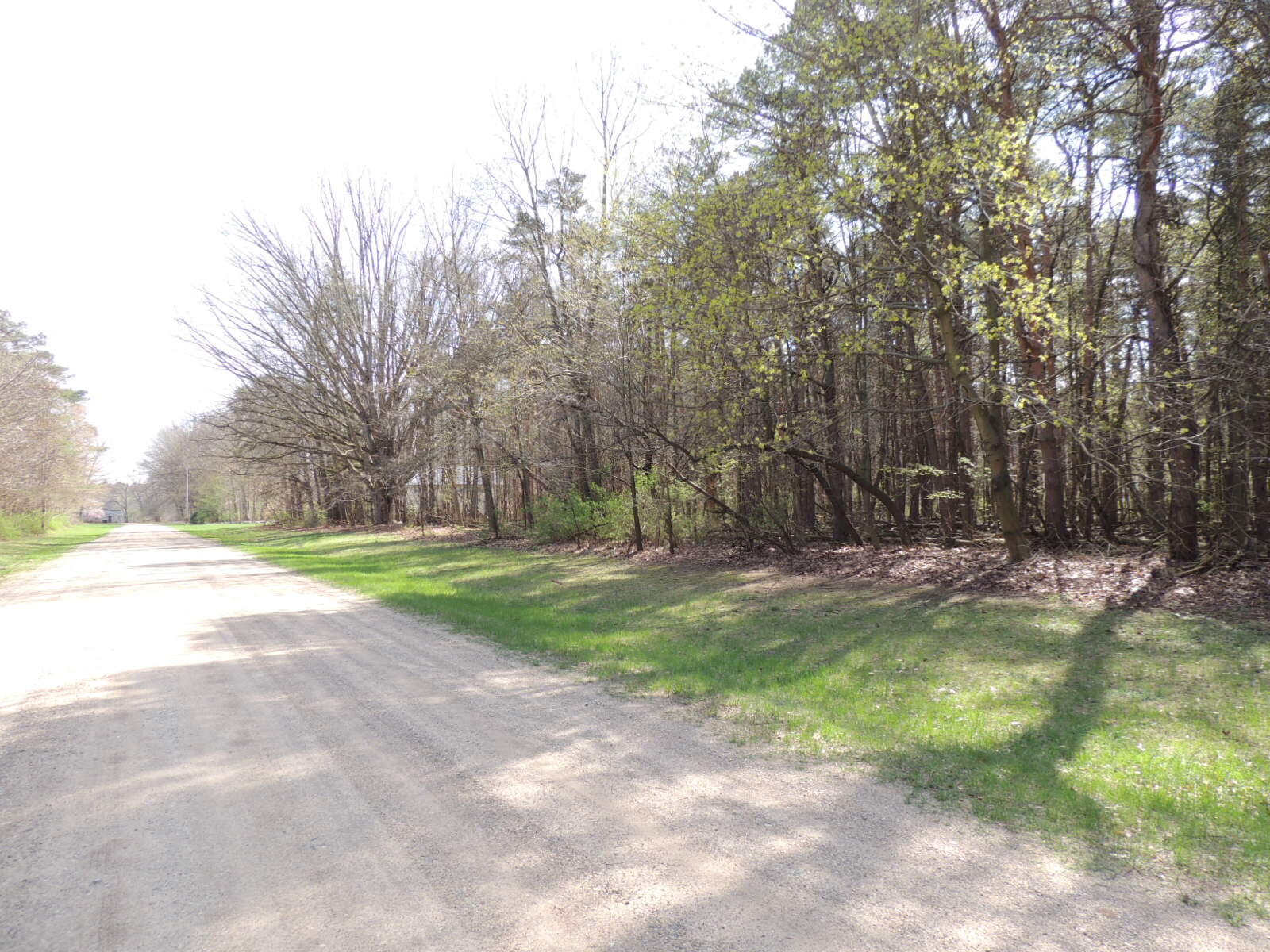 6342 Old Allegan Road Saugatuck MI 49453