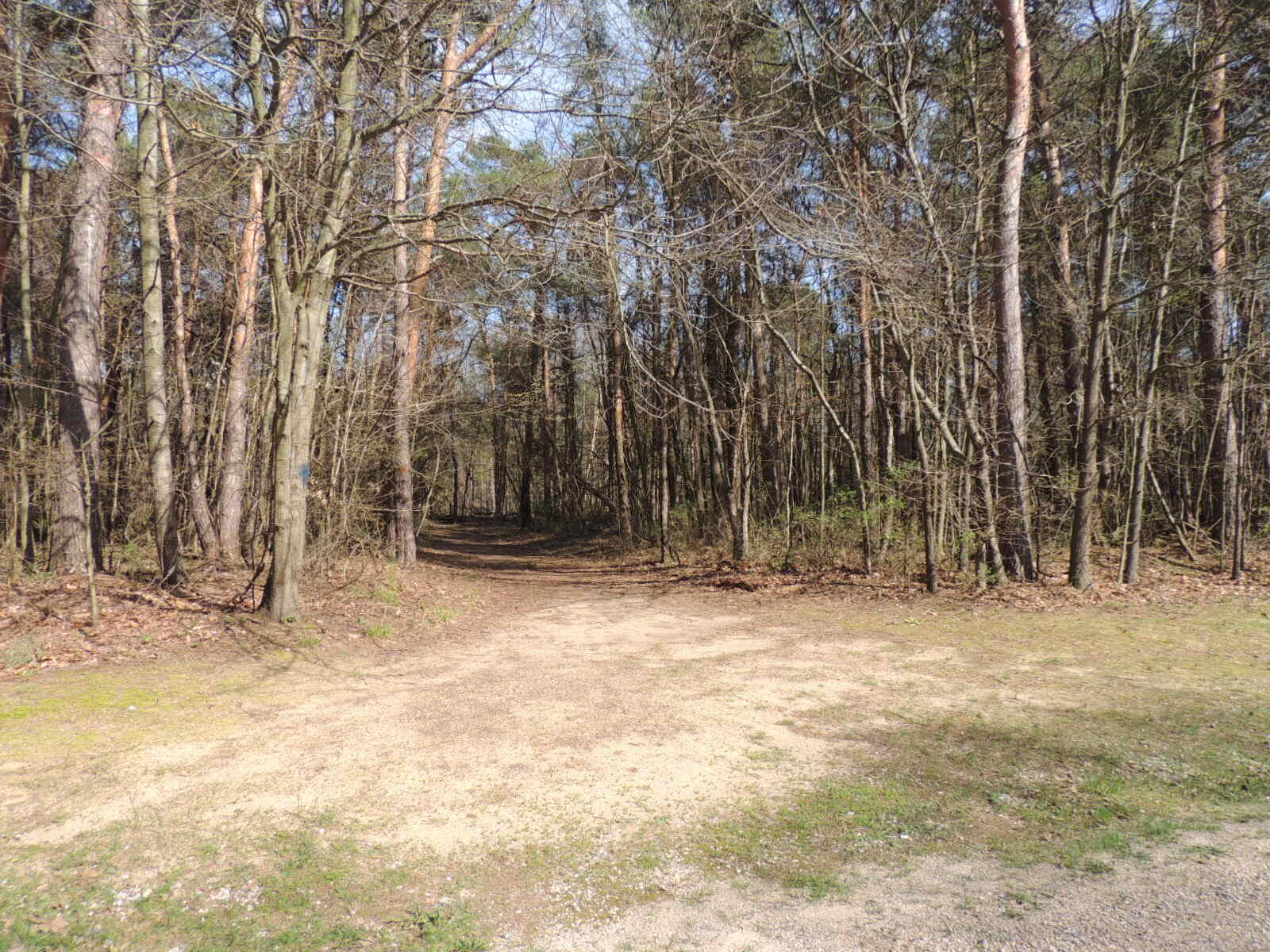 6342 Old Allegan Road Saugatuck MI 49453