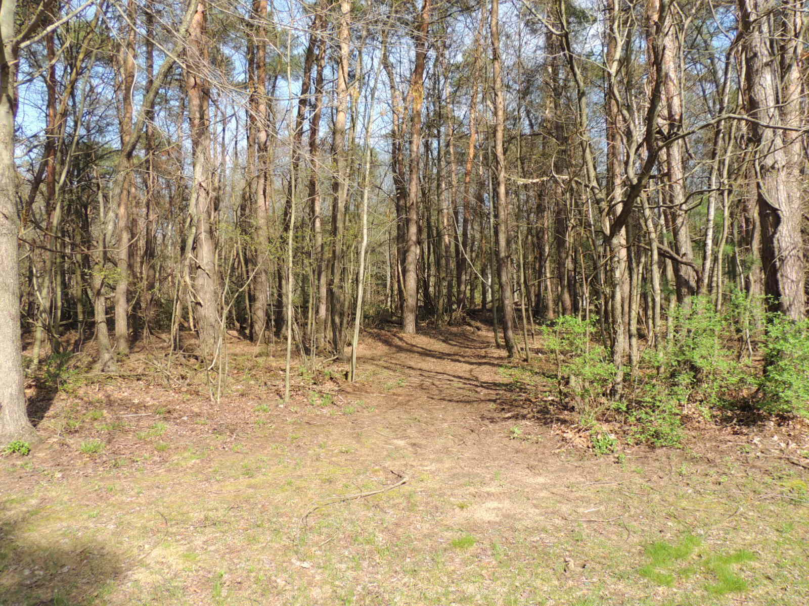 6342 Old Allegan Road Saugatuck MI 49453