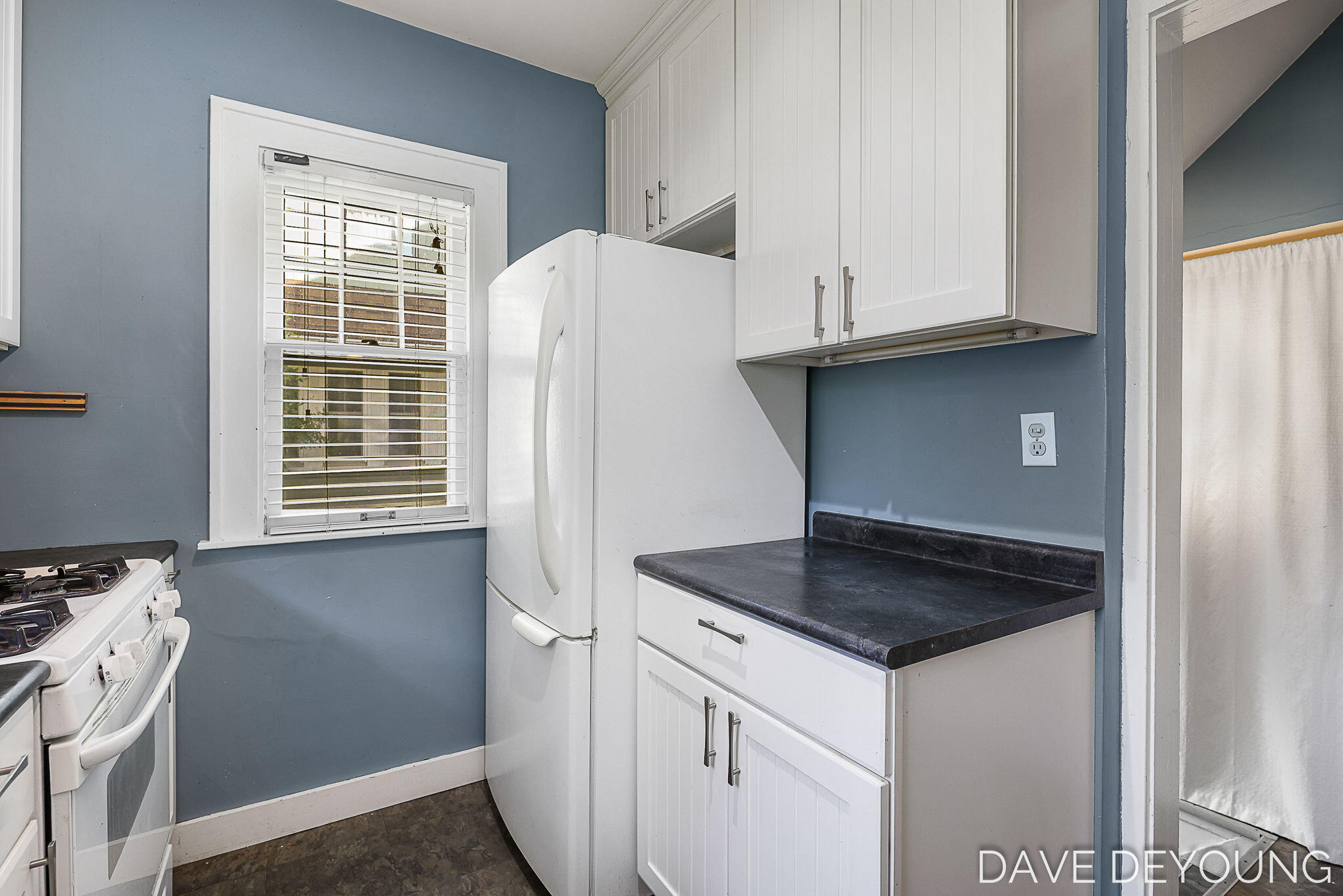 1134 Hoyt Street SE Grand Rapids MI 49507