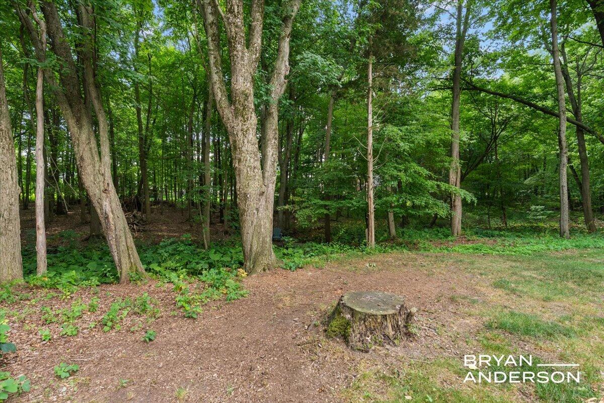 3324 Whitburn Court SE Ada MI 49301