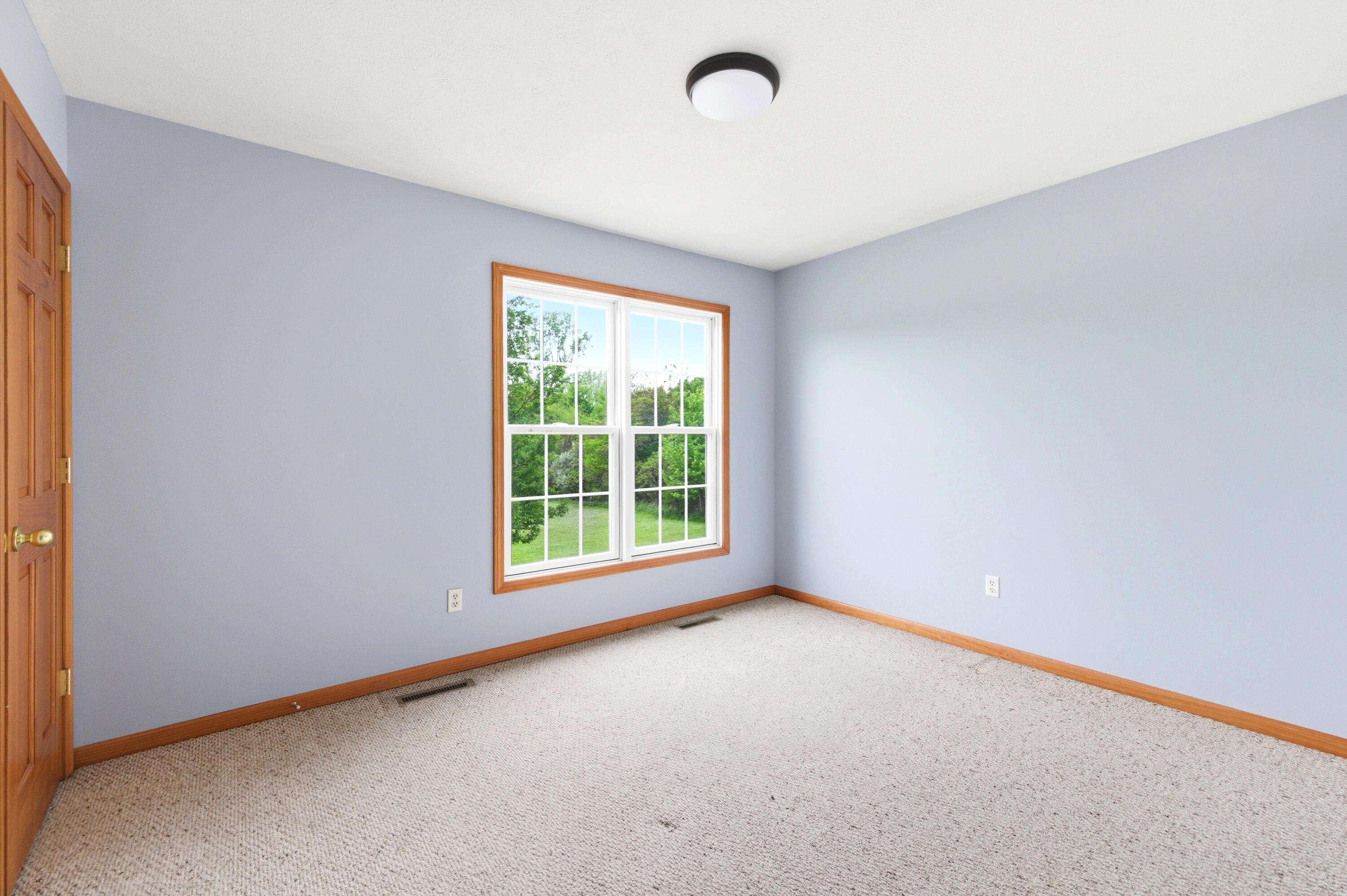 11226 Snow Road Bridgman MI 49106