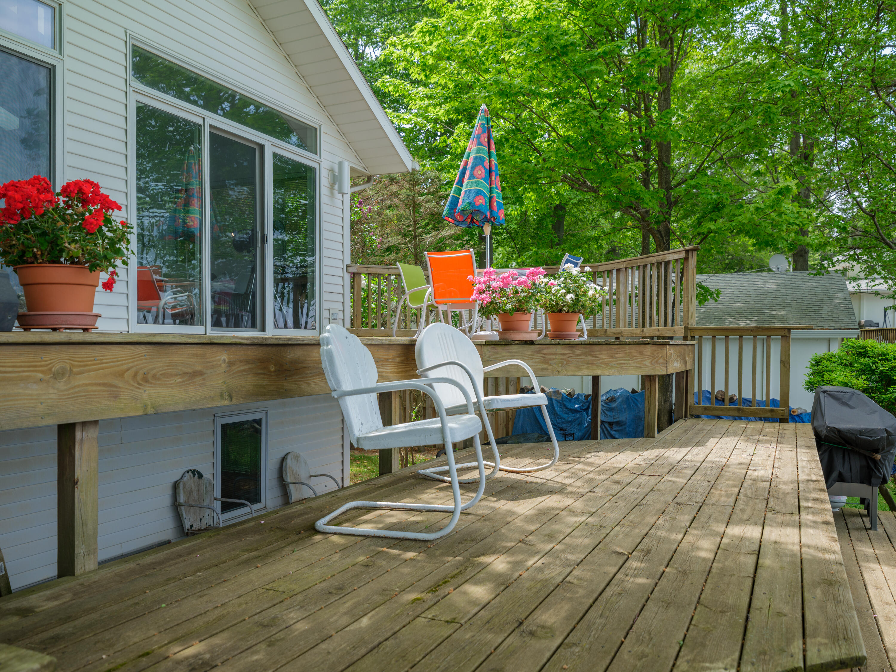 1192 Cherry Drive South Haven MI 49090