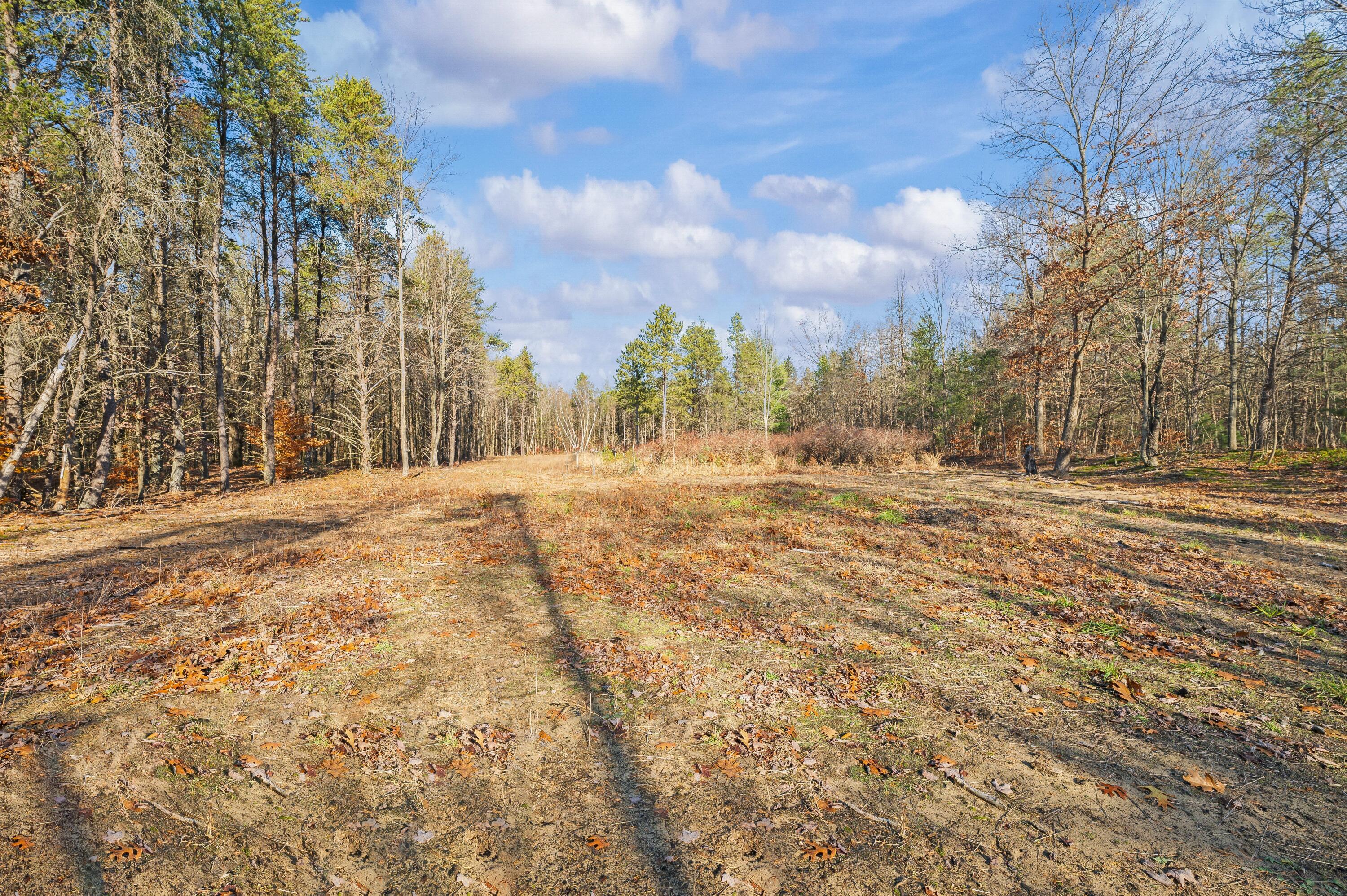 78720 County Road 376 Coloma MI 49038