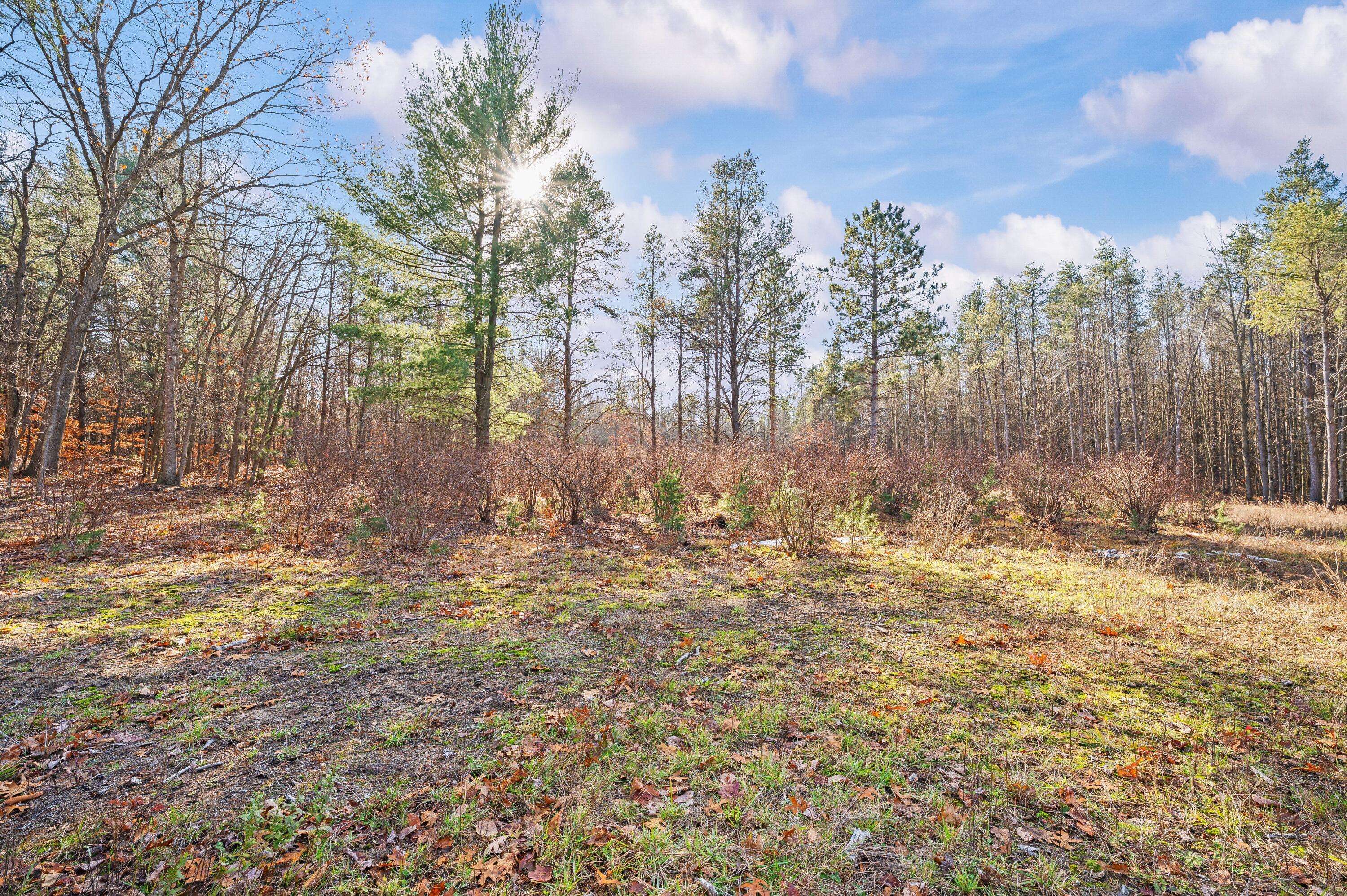 78720 County Road 376 Coloma MI 49038