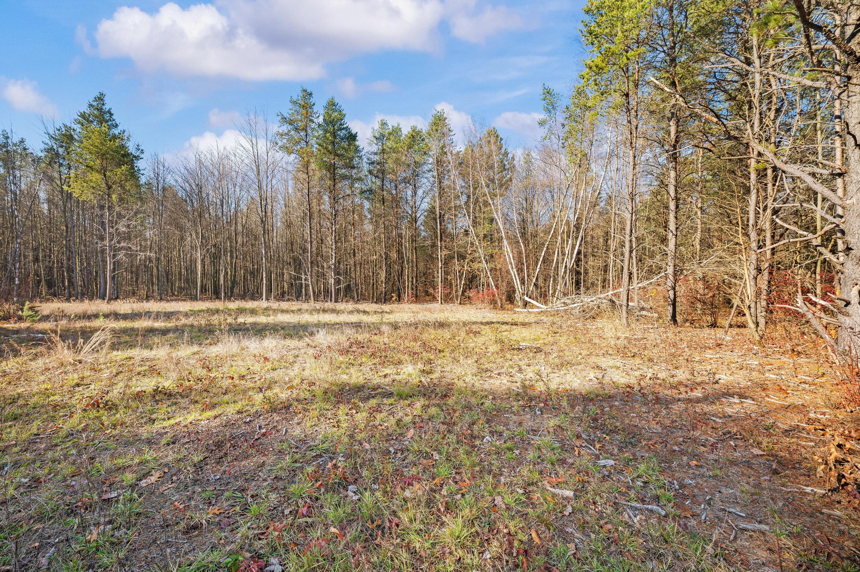 78720 County Road 376 Coloma MI 49038