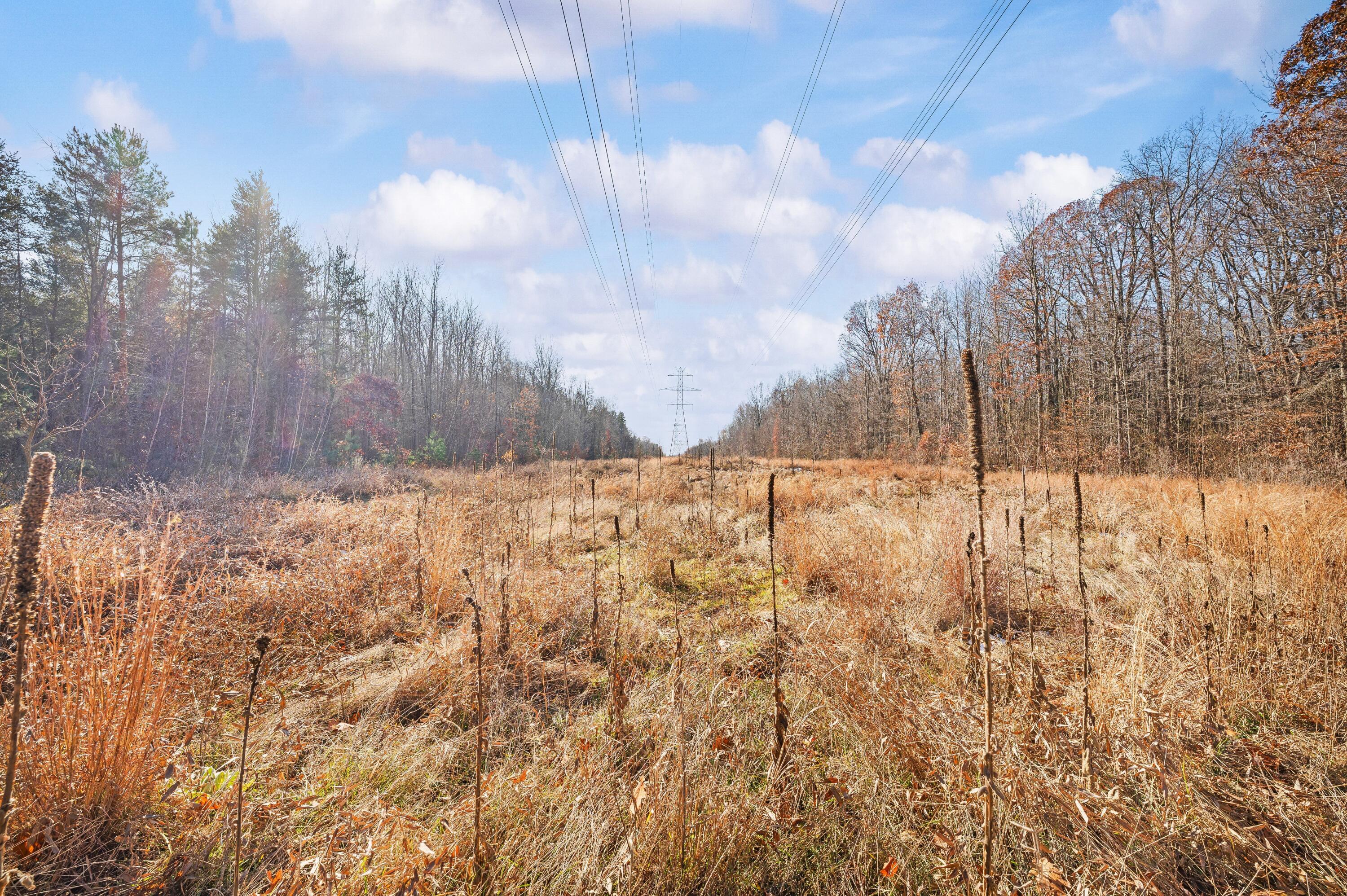 78720 County Road 376 Coloma MI 49038