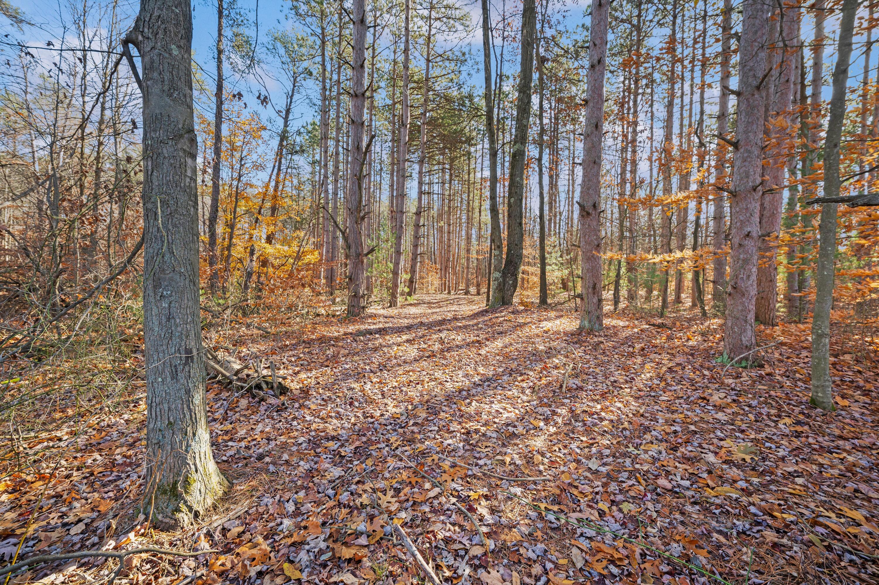 78720 County Road 376 Coloma MI 49038