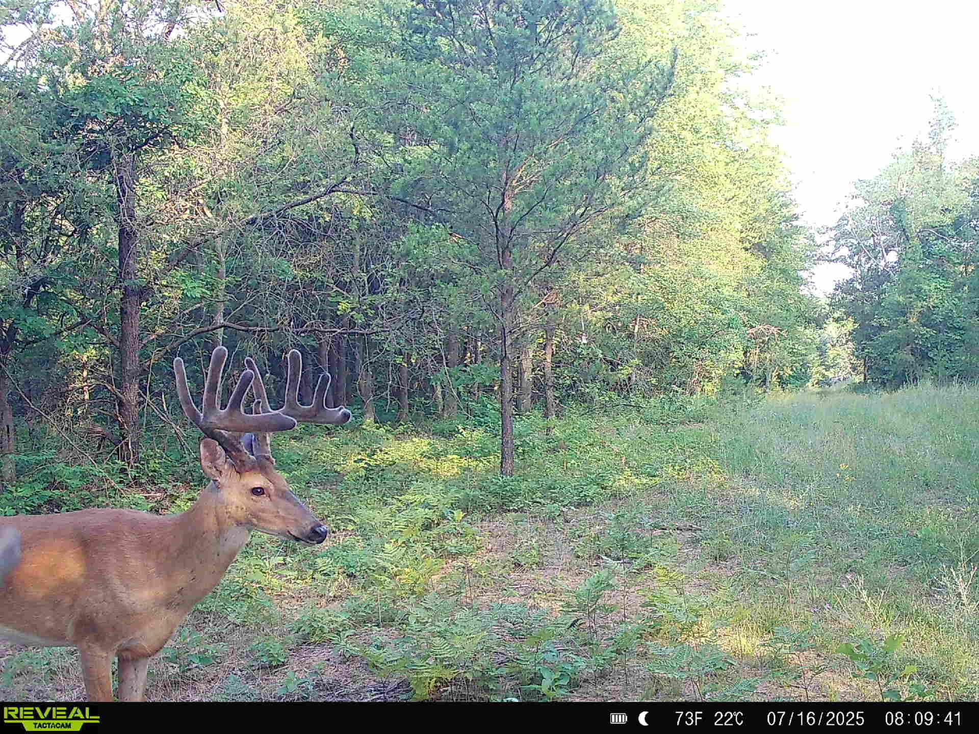 78720 County Road 376 Coloma MI 49038