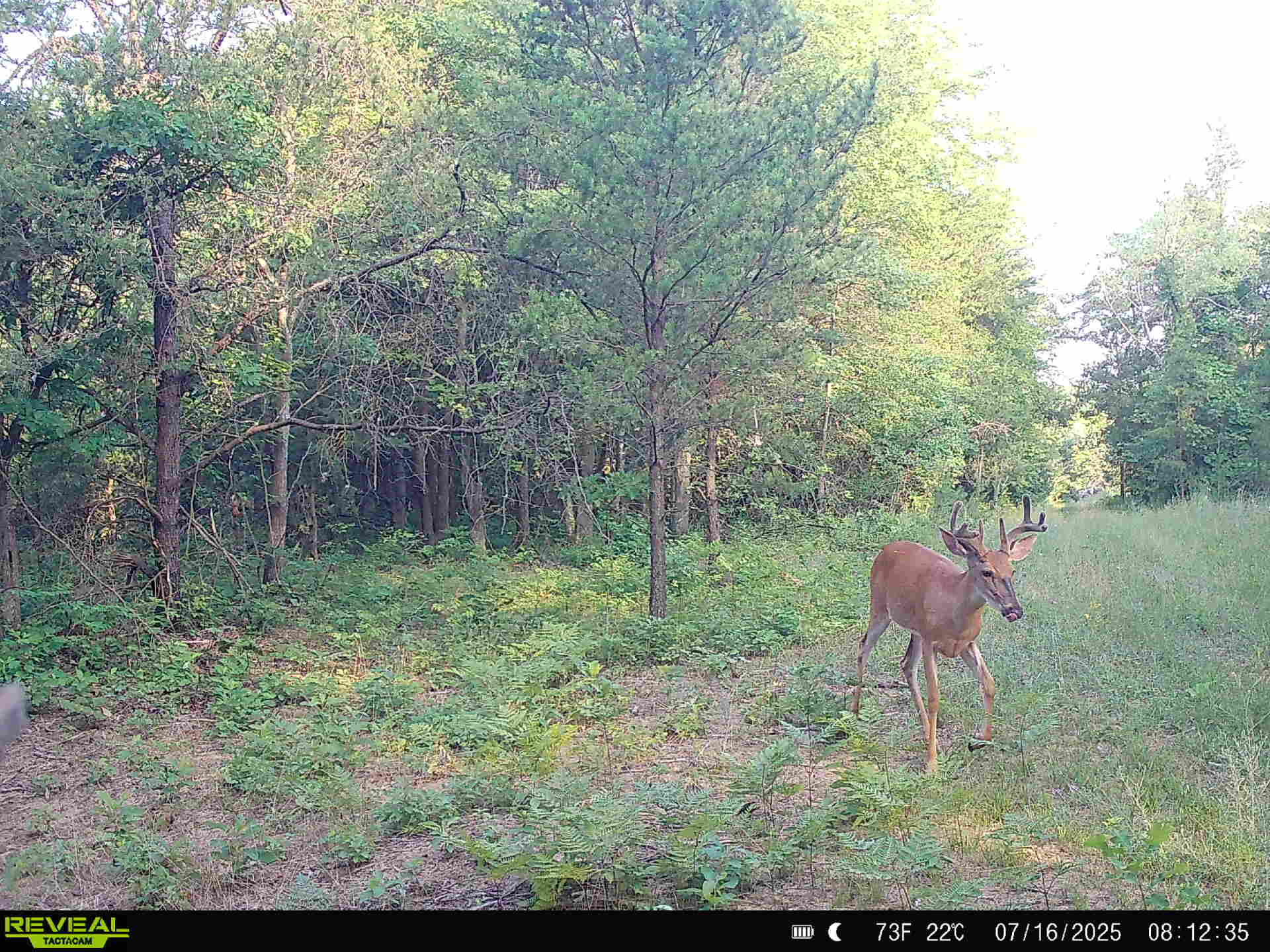 78720 County Road 376 Coloma MI 49038