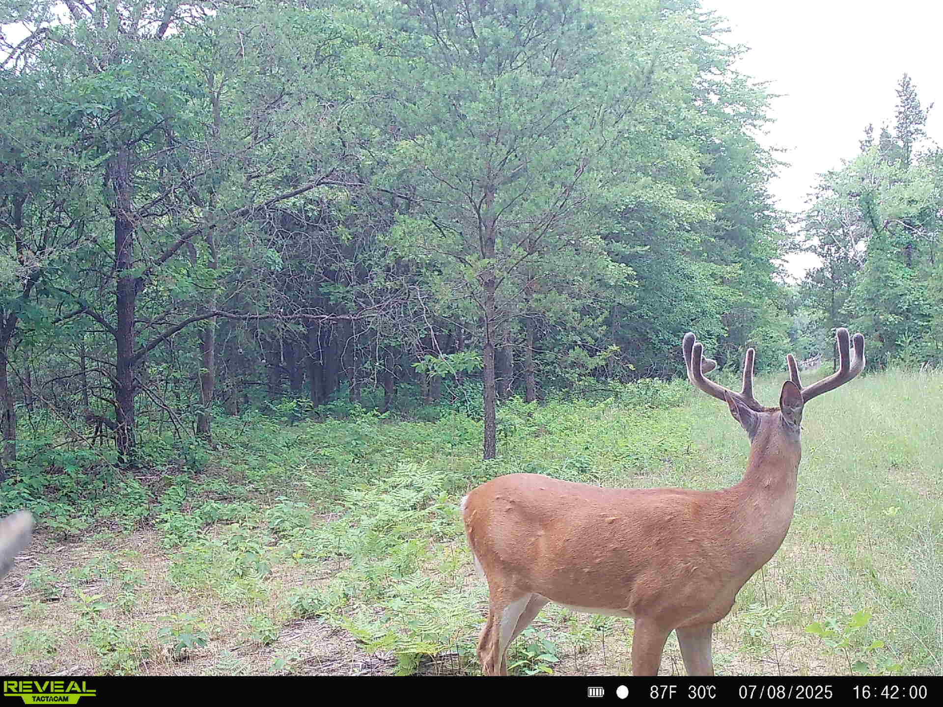 78720 County Road 376 Coloma MI 49038