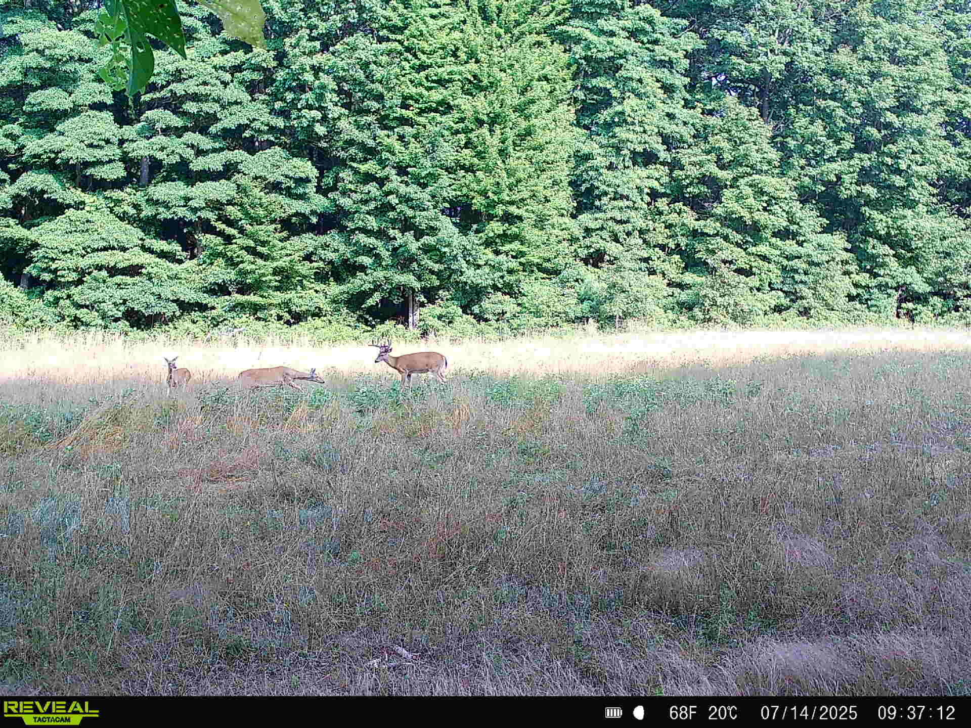 78720 County Road 376 Coloma MI 49038