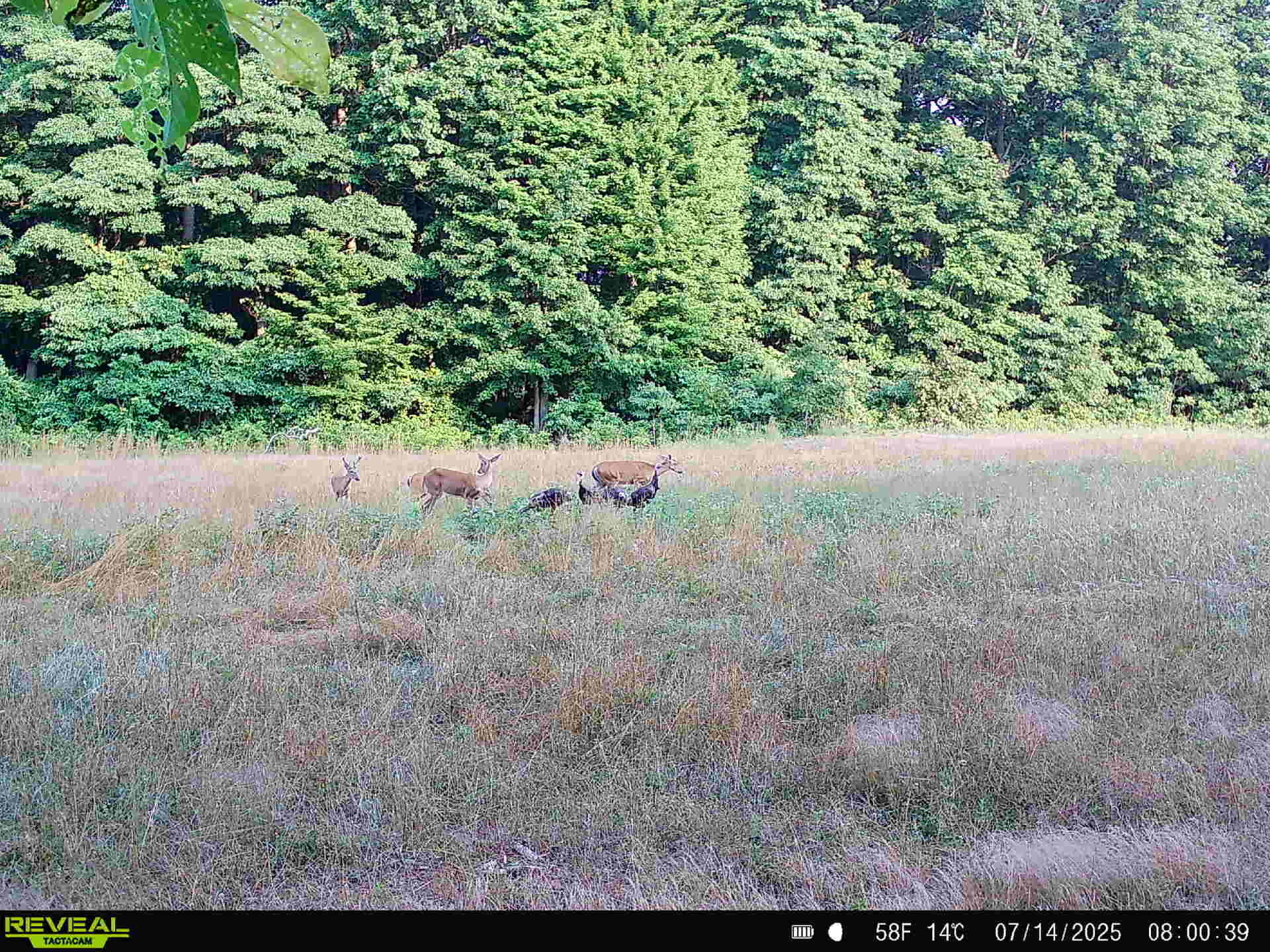 78720 County Road 376 Coloma MI 49038