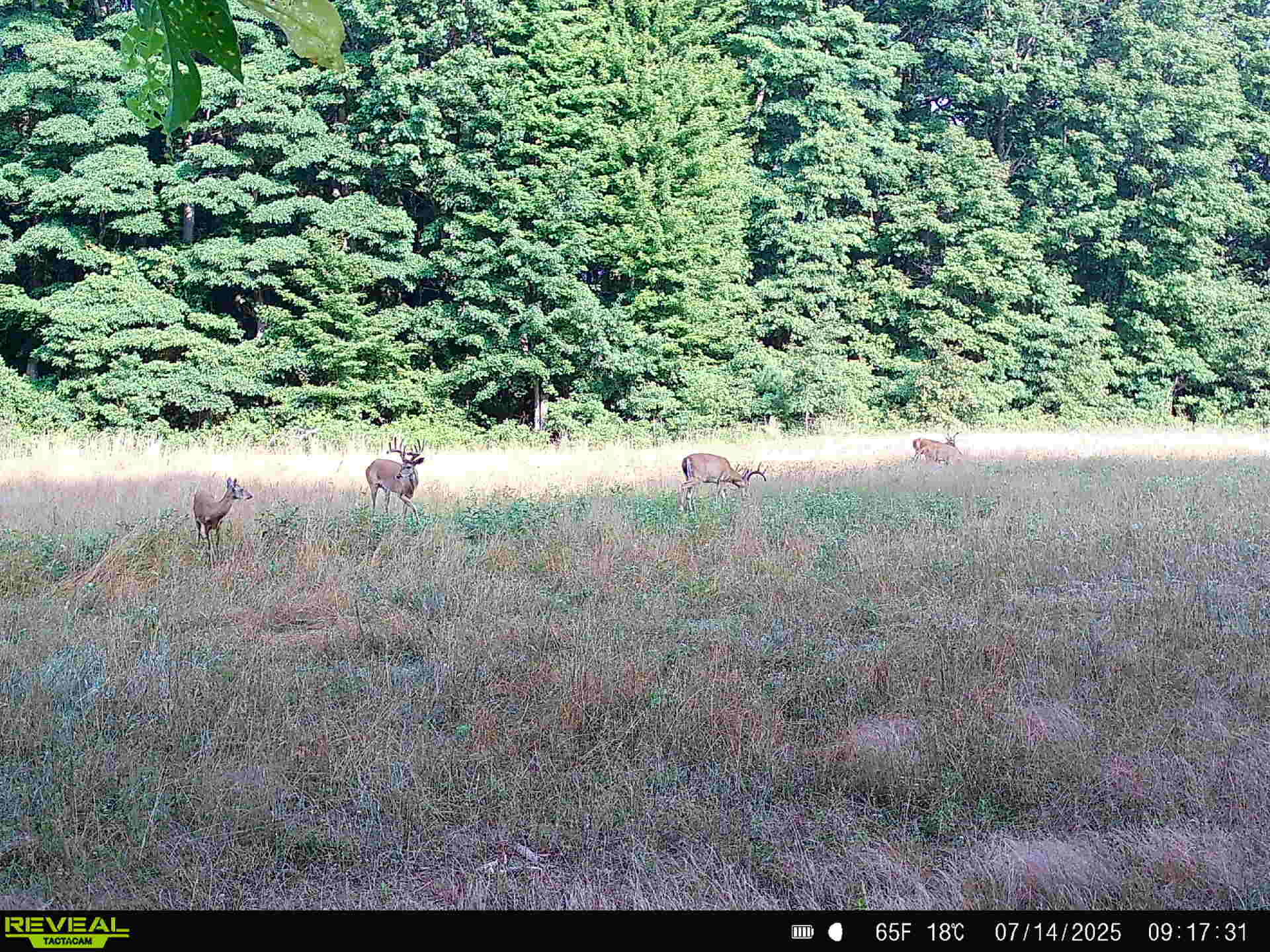 78720 County Road 376 Coloma MI 49038