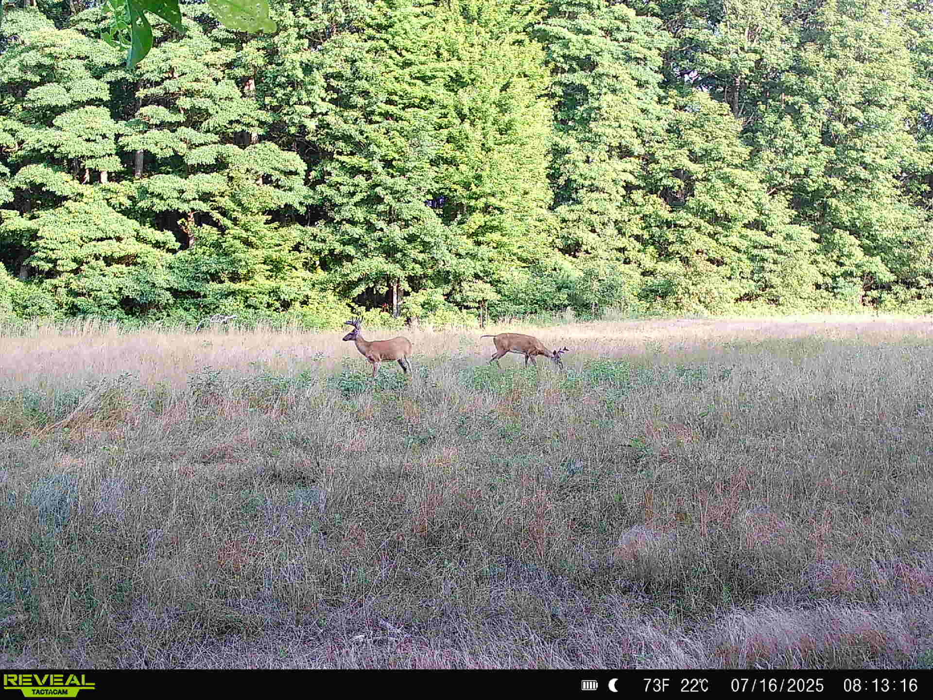 78720 County Road 376 Coloma MI 49038