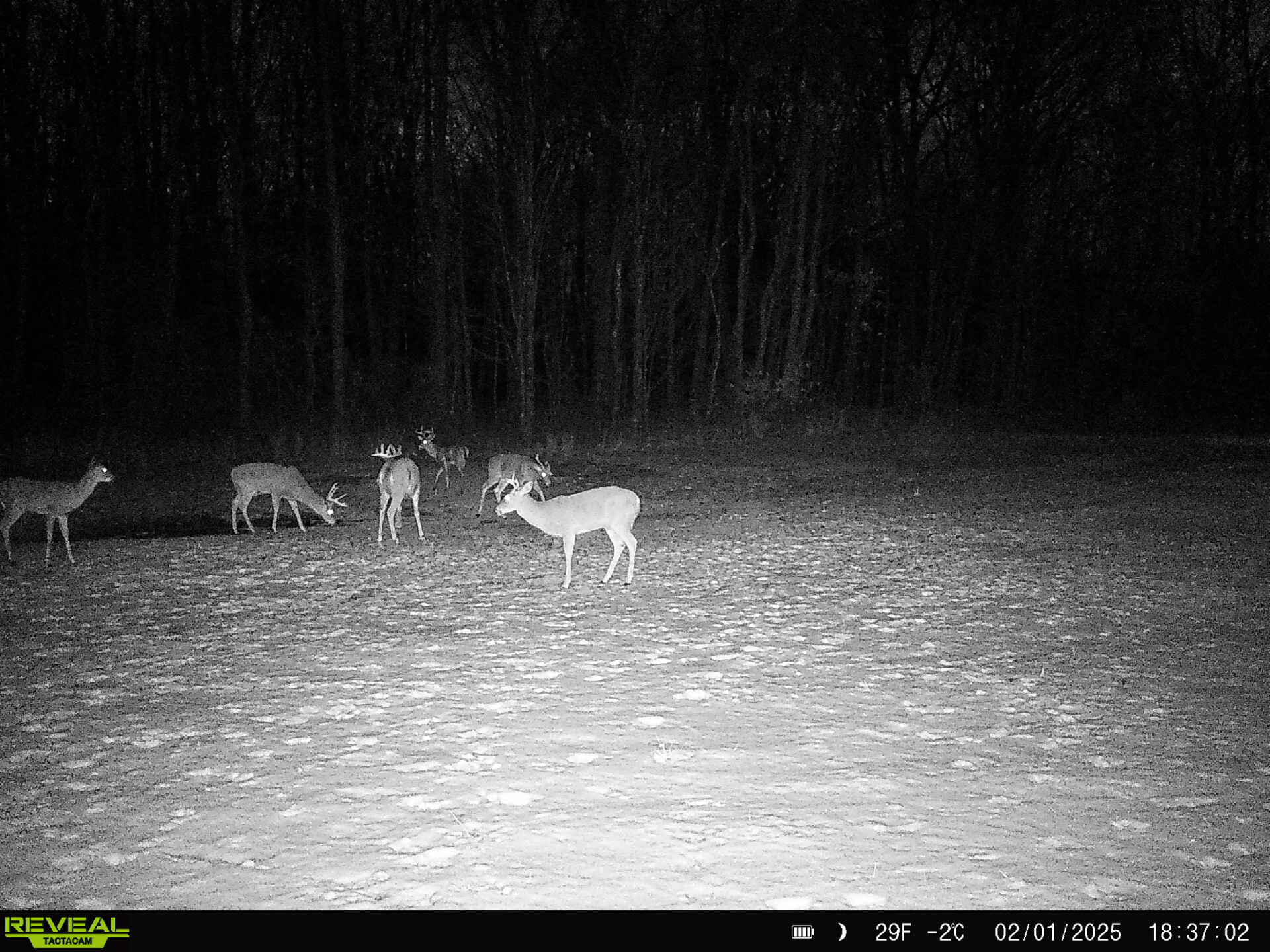 78720 County Road 376 Coloma MI 49038