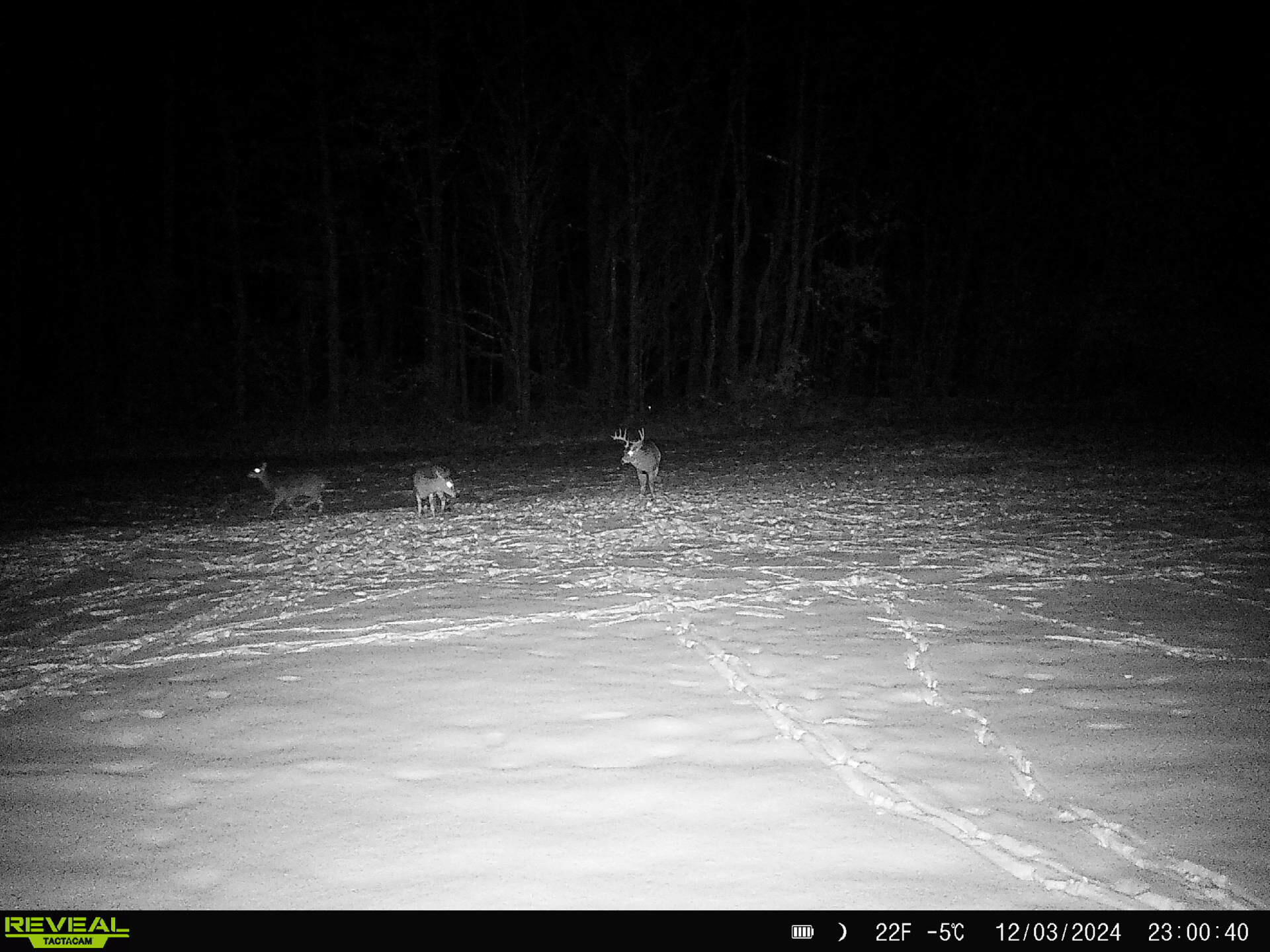 78720 County Road 376 Coloma MI 49038