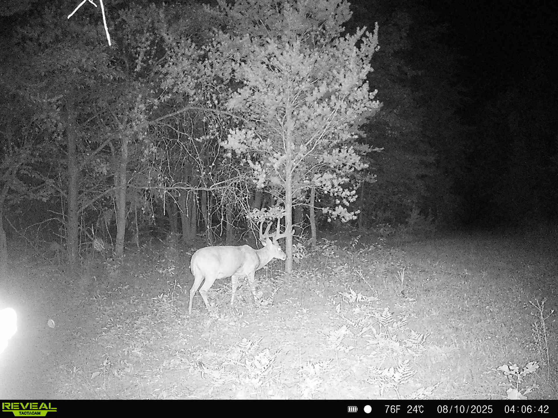 78720 County Road 376 Coloma MI 49038