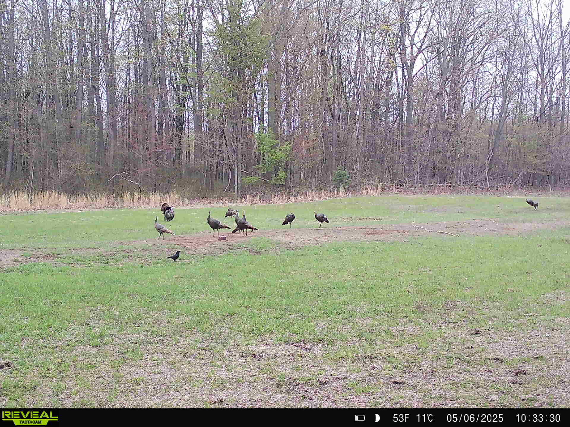 78720 County Road 376 Coloma MI 49038