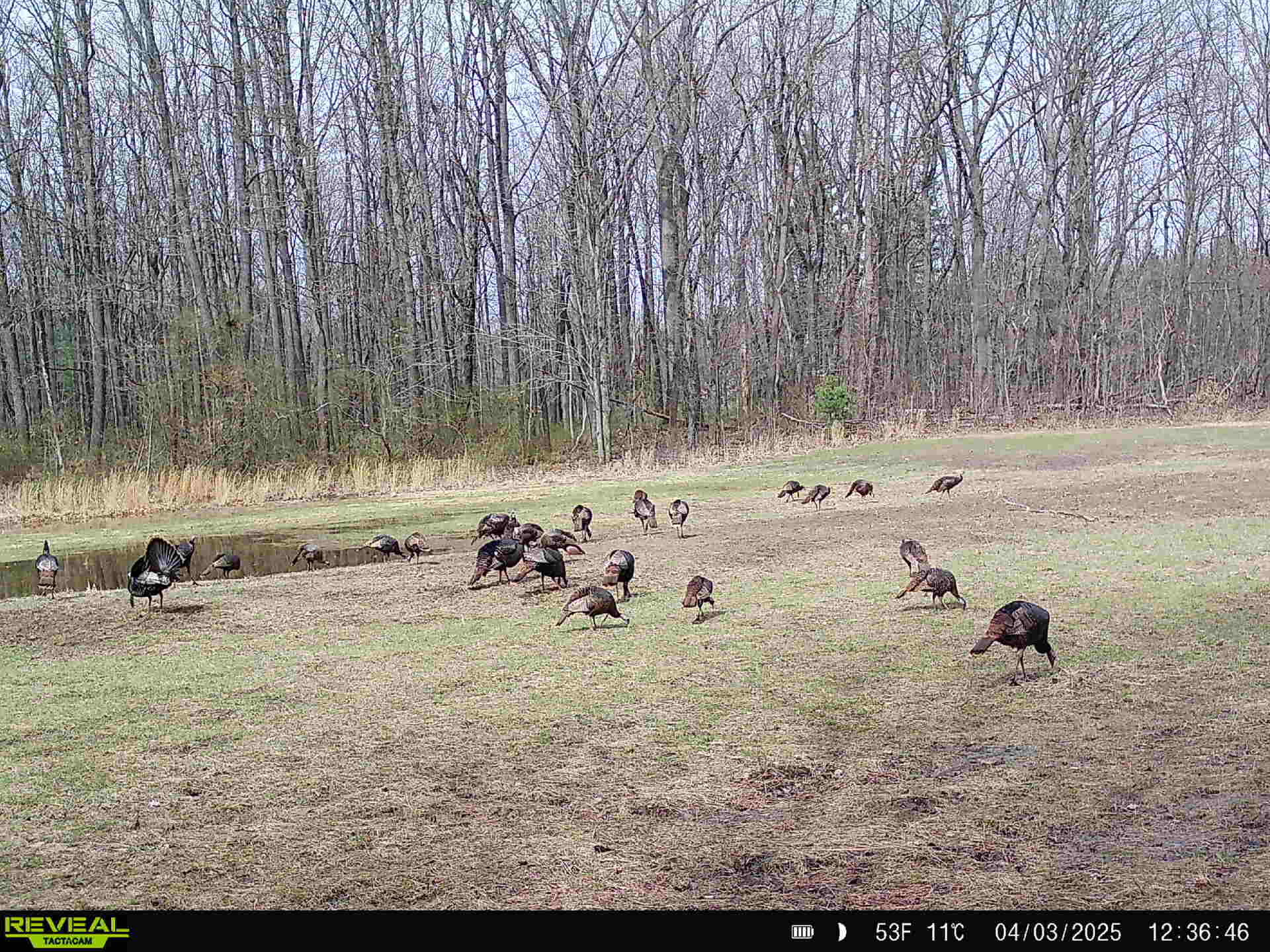 78720 County Road 376 Coloma MI 49038