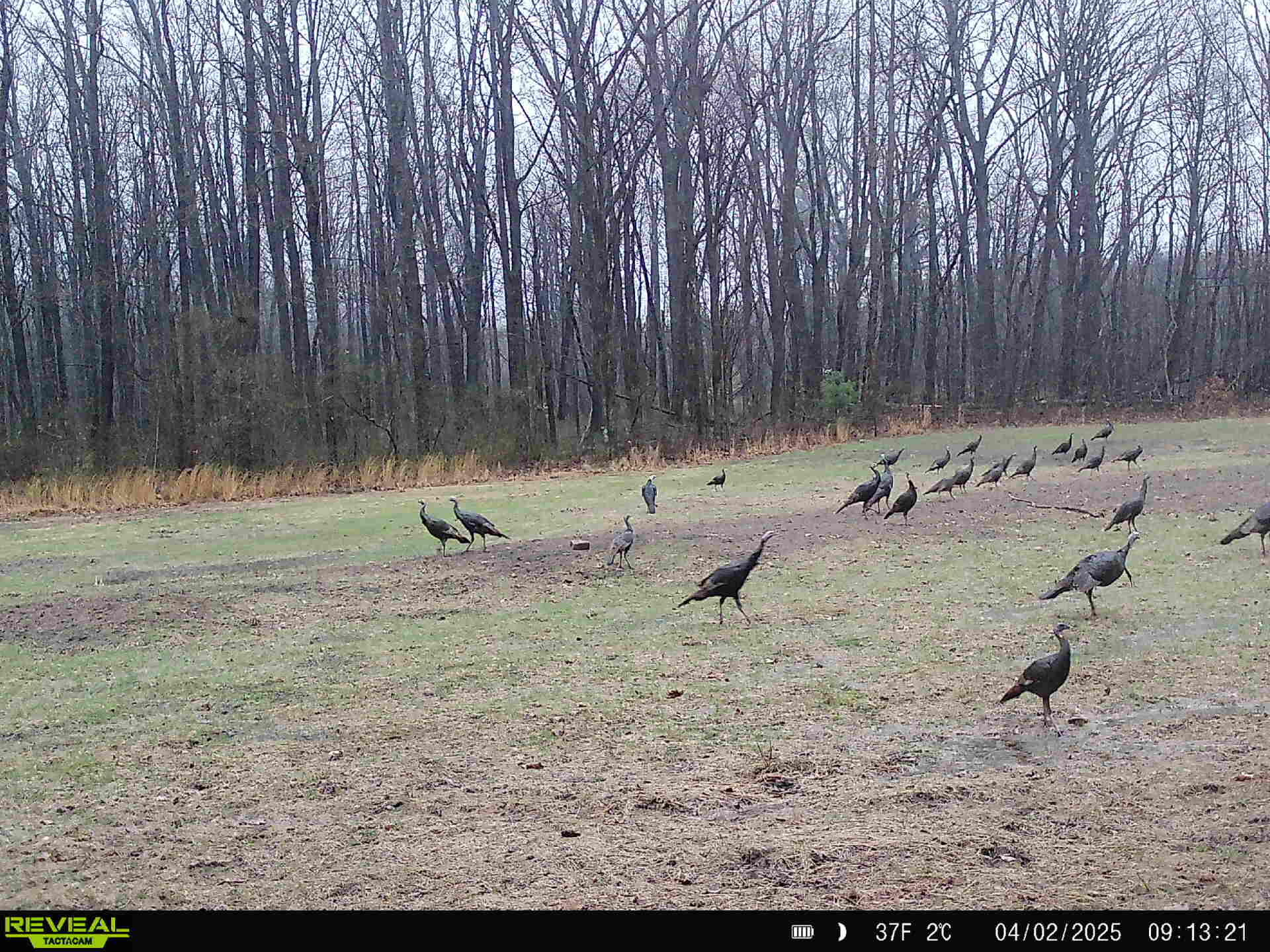 78720 County Road 376 Coloma MI 49038