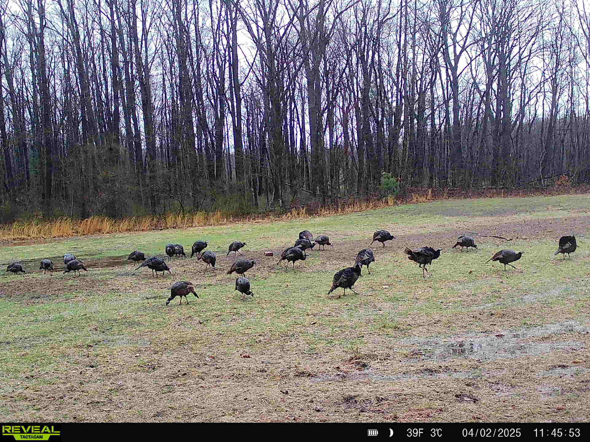 78720 County Road 376 Coloma MI 49038