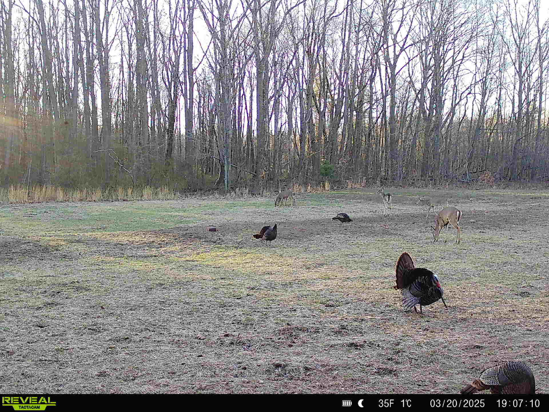 78720 County Road 376 Coloma MI 49038