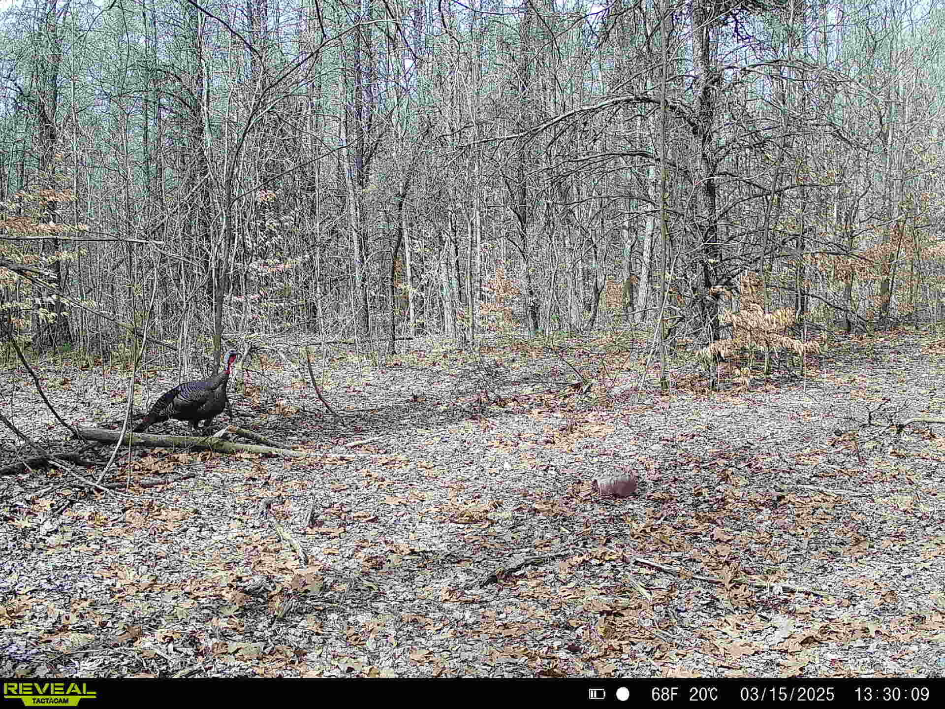 78720 County Road 376 Coloma MI 49038